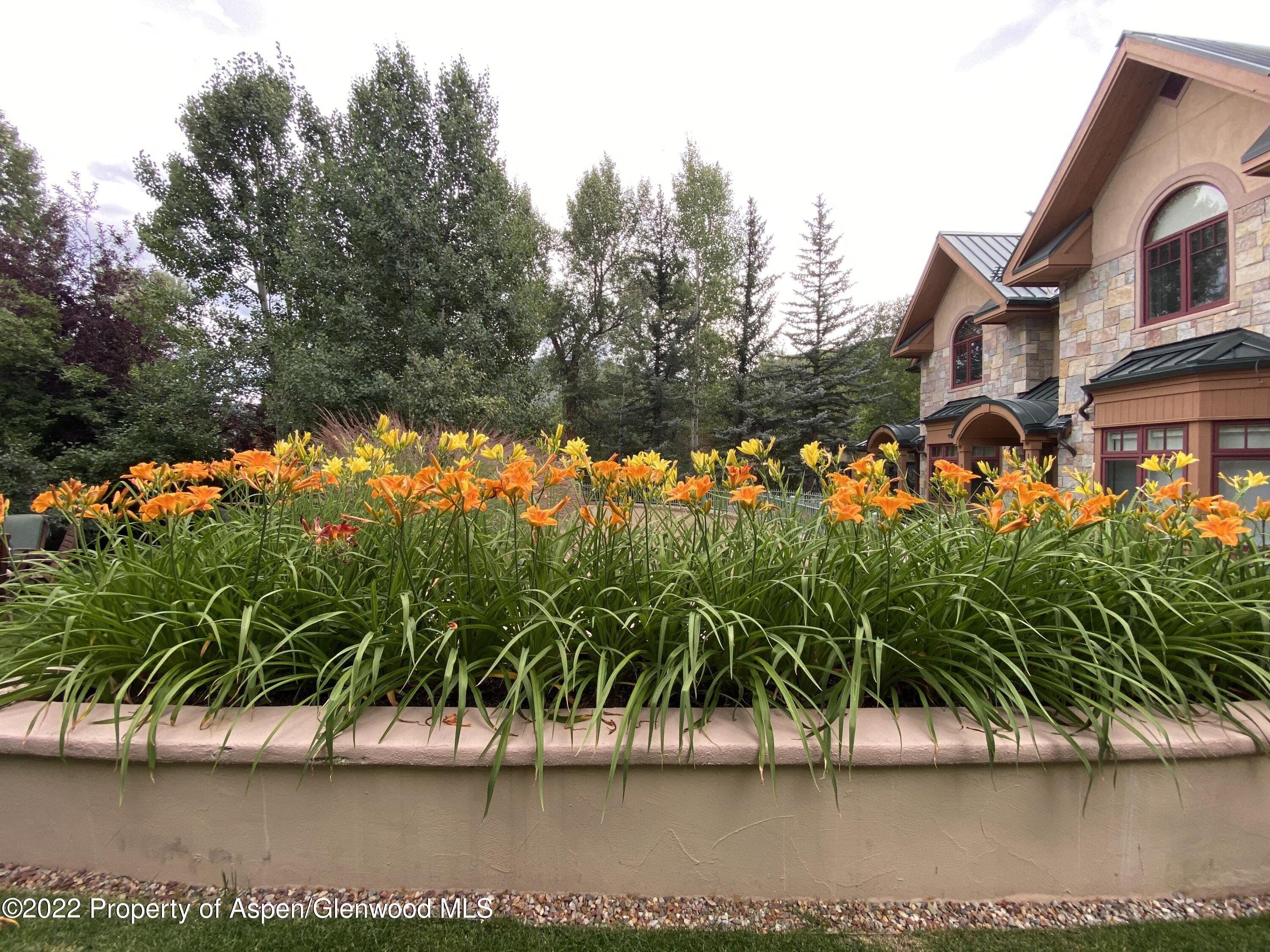 1035 E Durant Avenue, #4