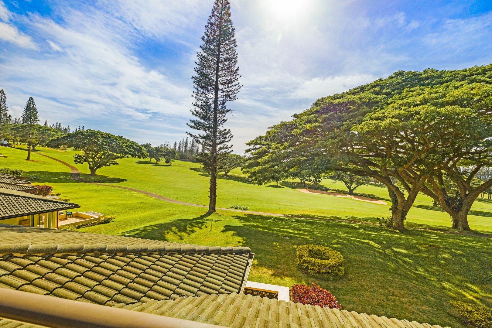 500 KAPALUA Dr Unit: 14T 1-2