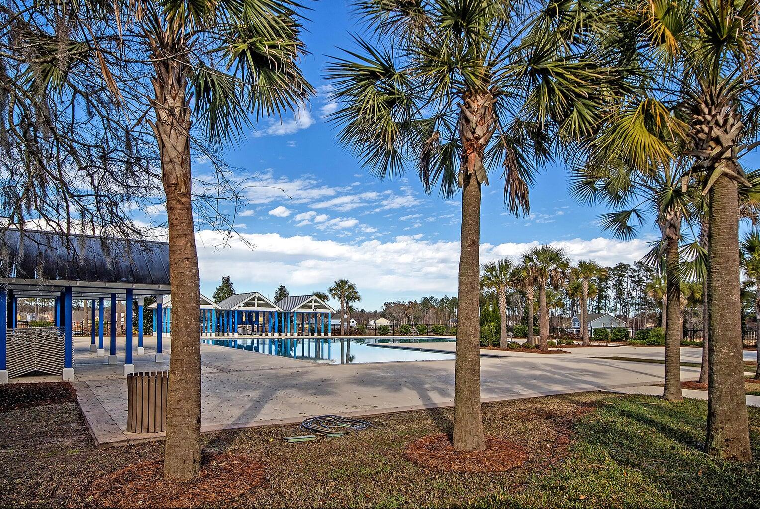 125 Trumpet Vine Drive, Summerville