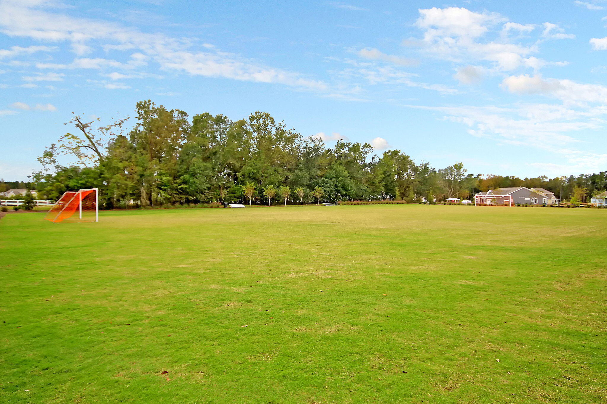 125 Trumpet Vine Drive, Summerville