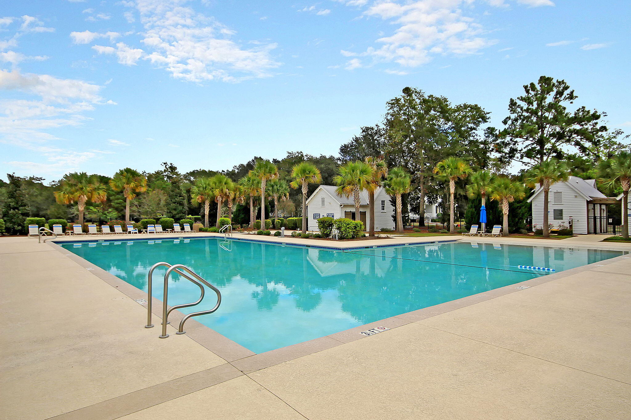125 Trumpet Vine Drive, Summerville