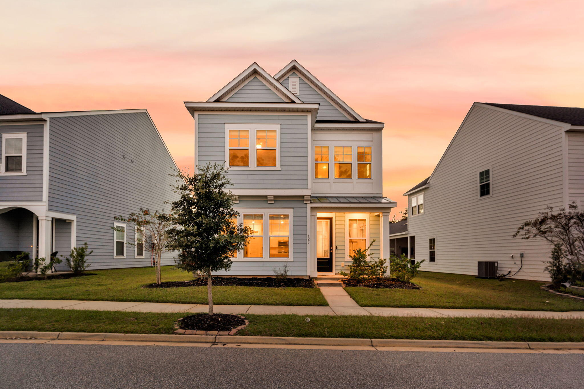 125 Trumpet Vine Drive, Summerville