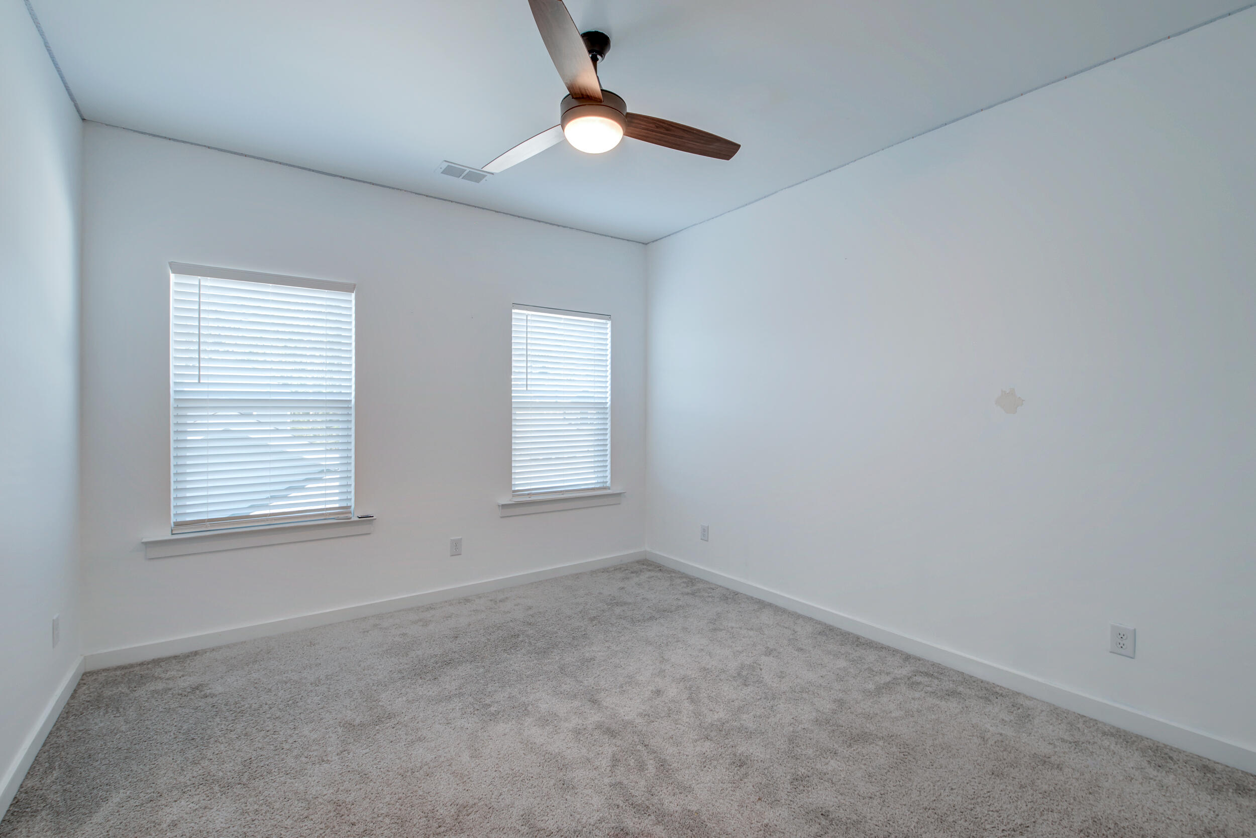 125 Trumpet Vine Drive, Summerville