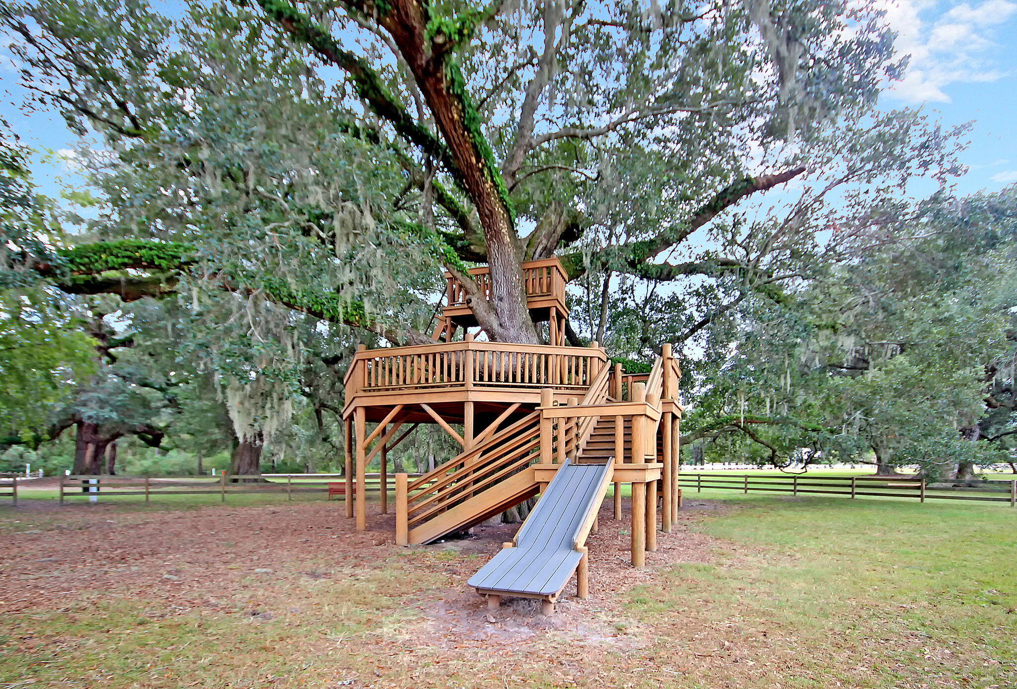 125 Trumpet Vine Drive, Summerville