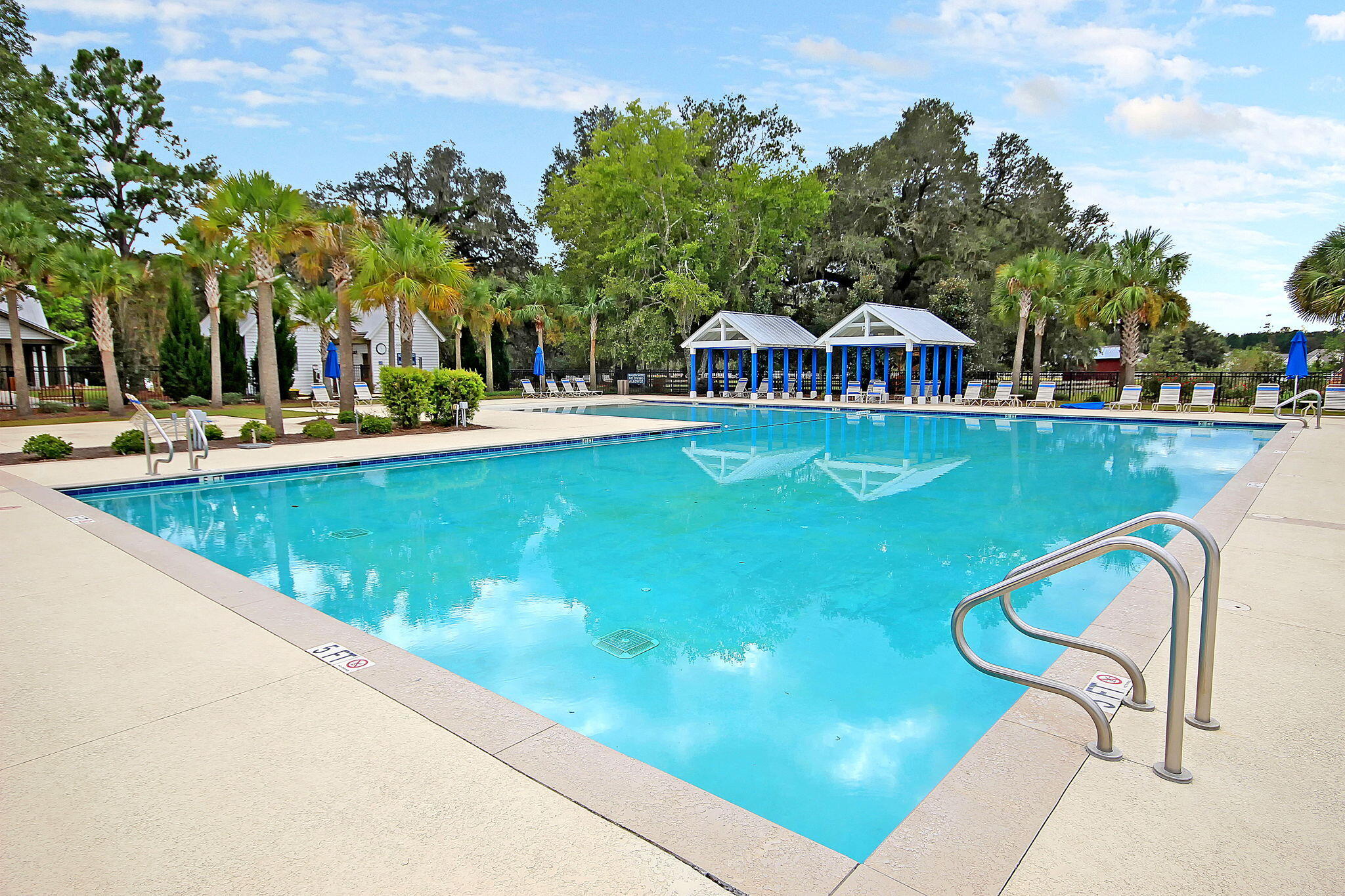 125 Trumpet Vine Drive, Summerville