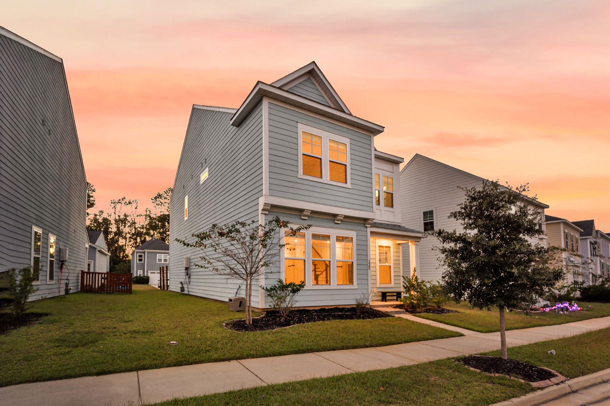 125 Trumpet Vine Drive, Summerville