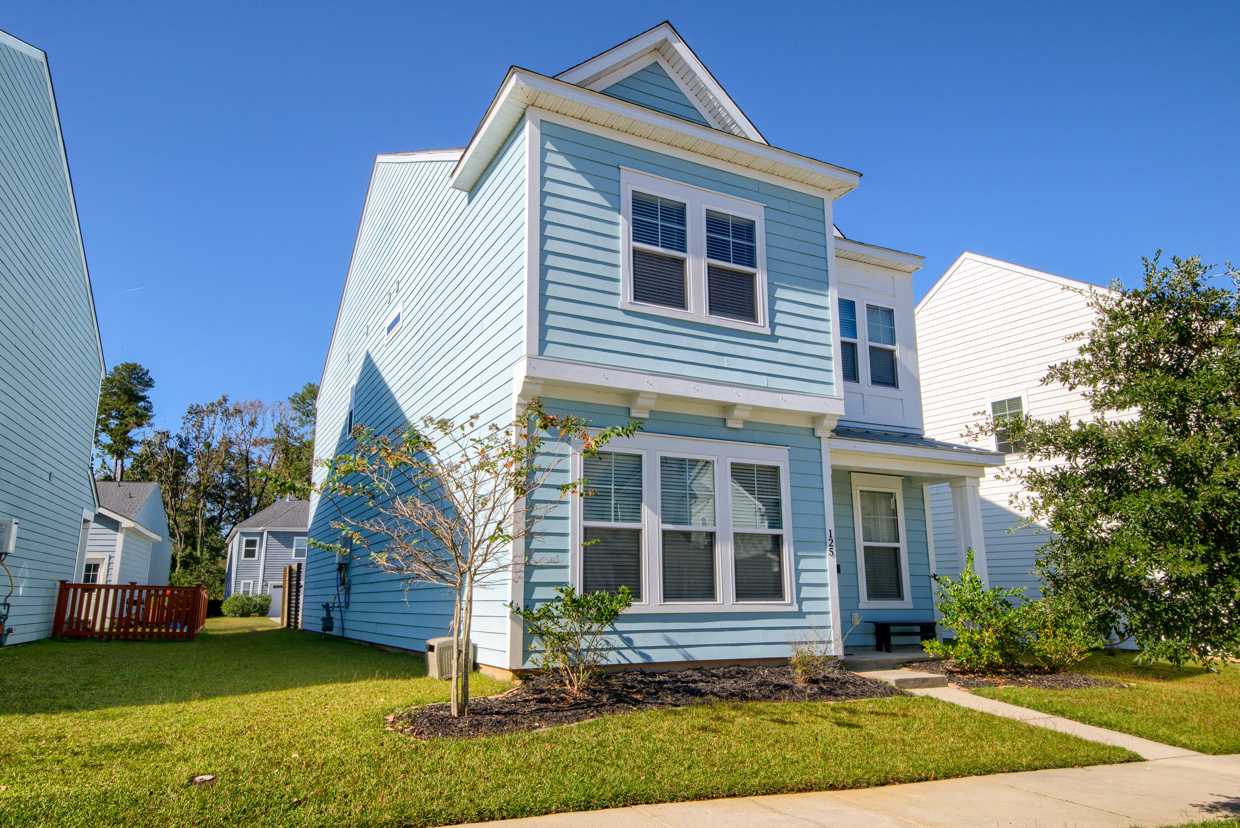 125 Trumpet Vine Drive, Summerville