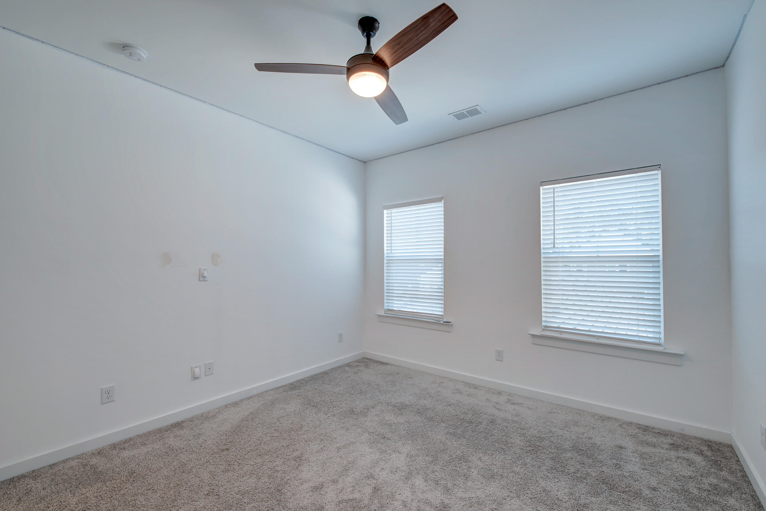 125 Trumpet Vine Drive, Summerville