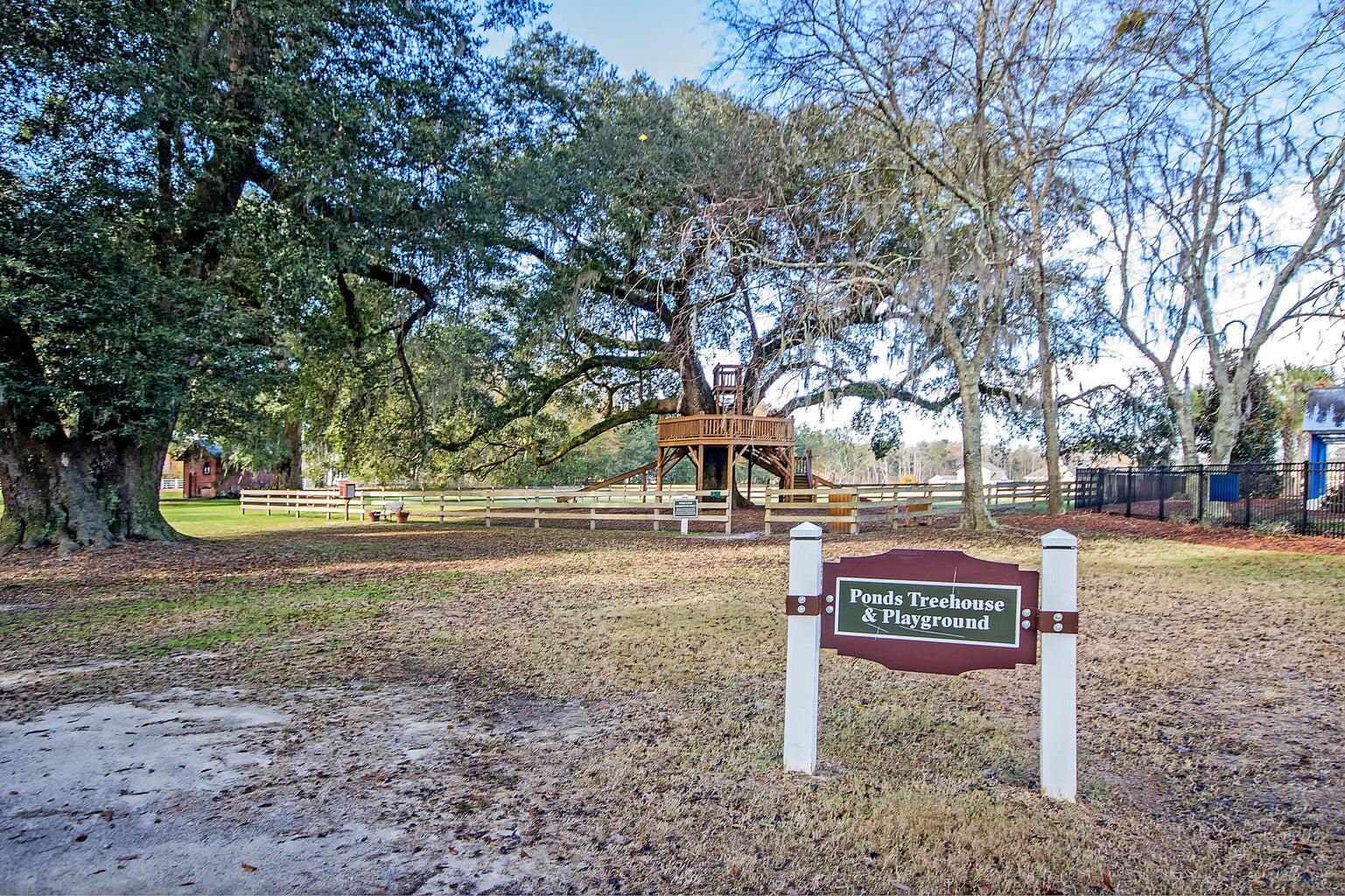 125 Trumpet Vine Drive, Summerville