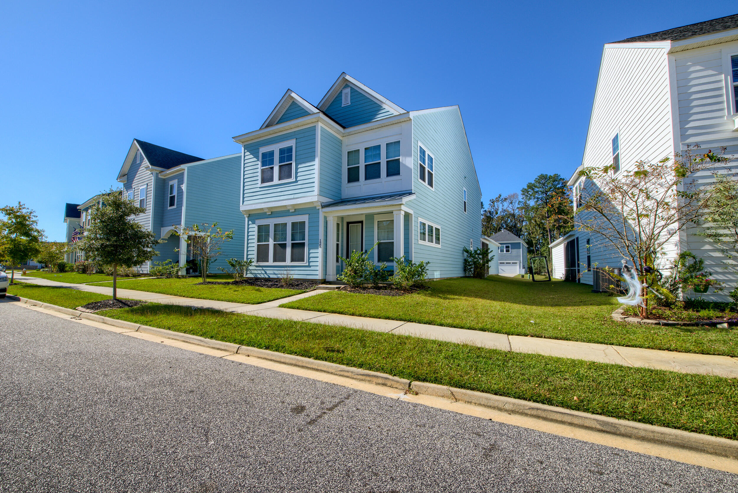 125 Trumpet Vine Drive, Summerville