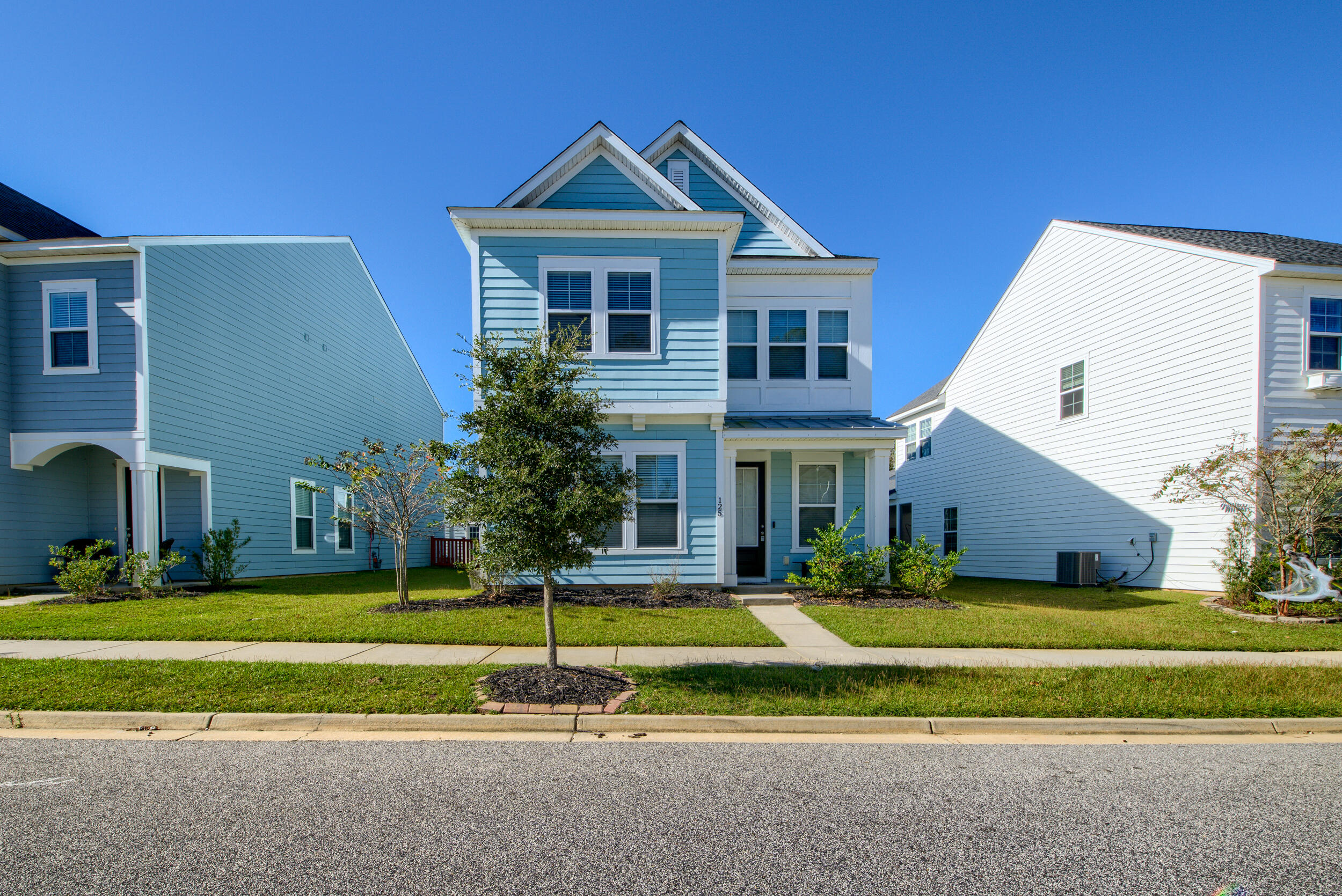 125 Trumpet Vine Drive, Summerville