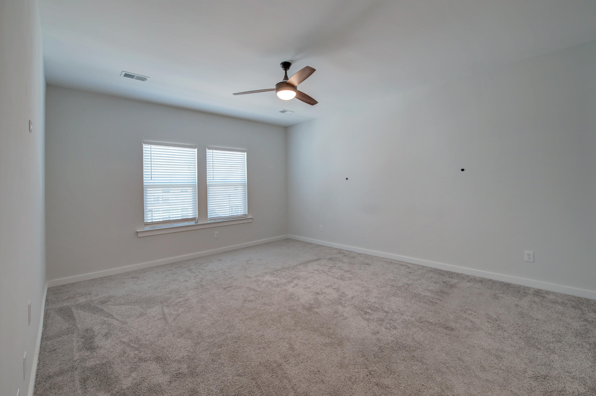 125 Trumpet Vine Drive, Summerville