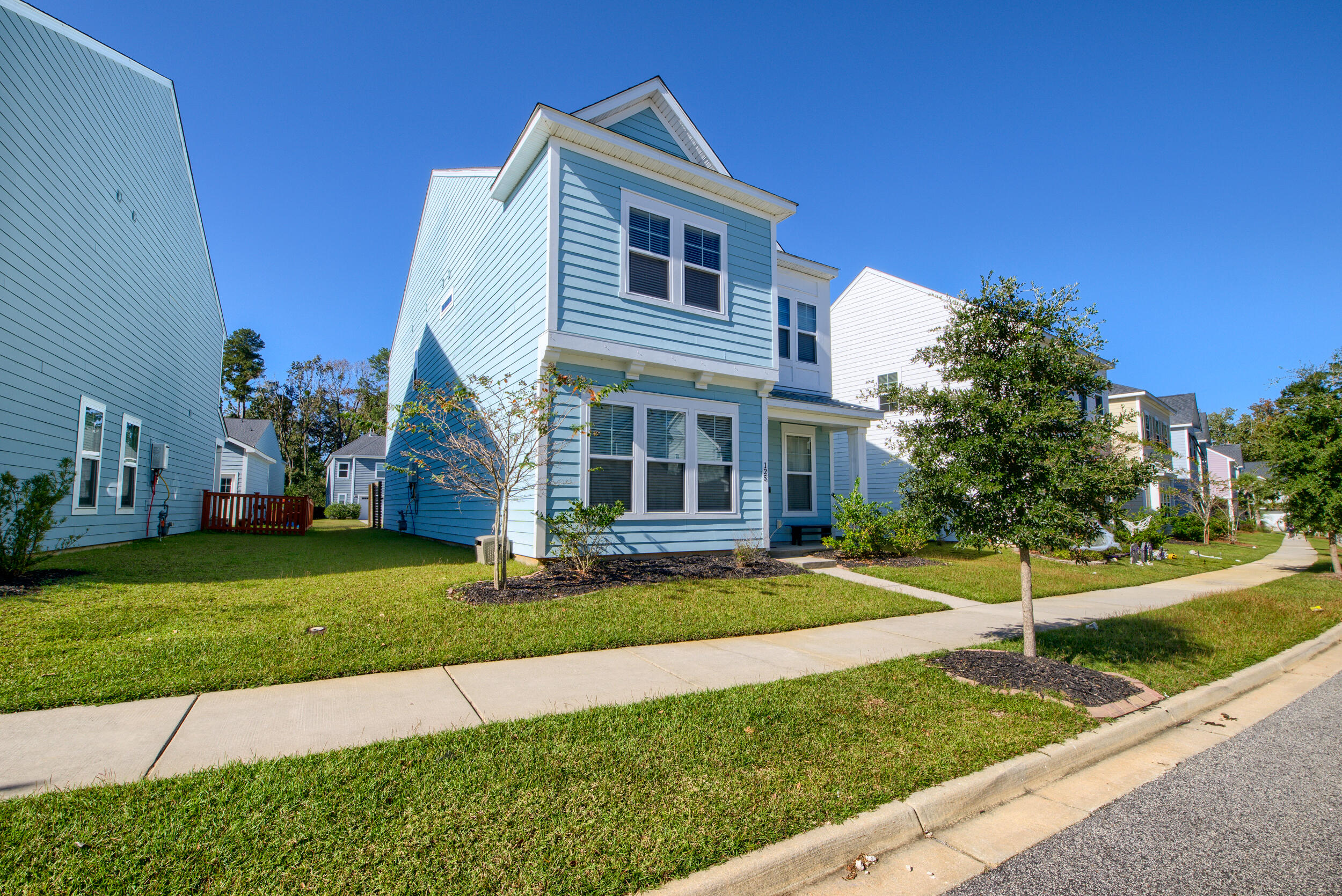 125 Trumpet Vine Drive, Summerville