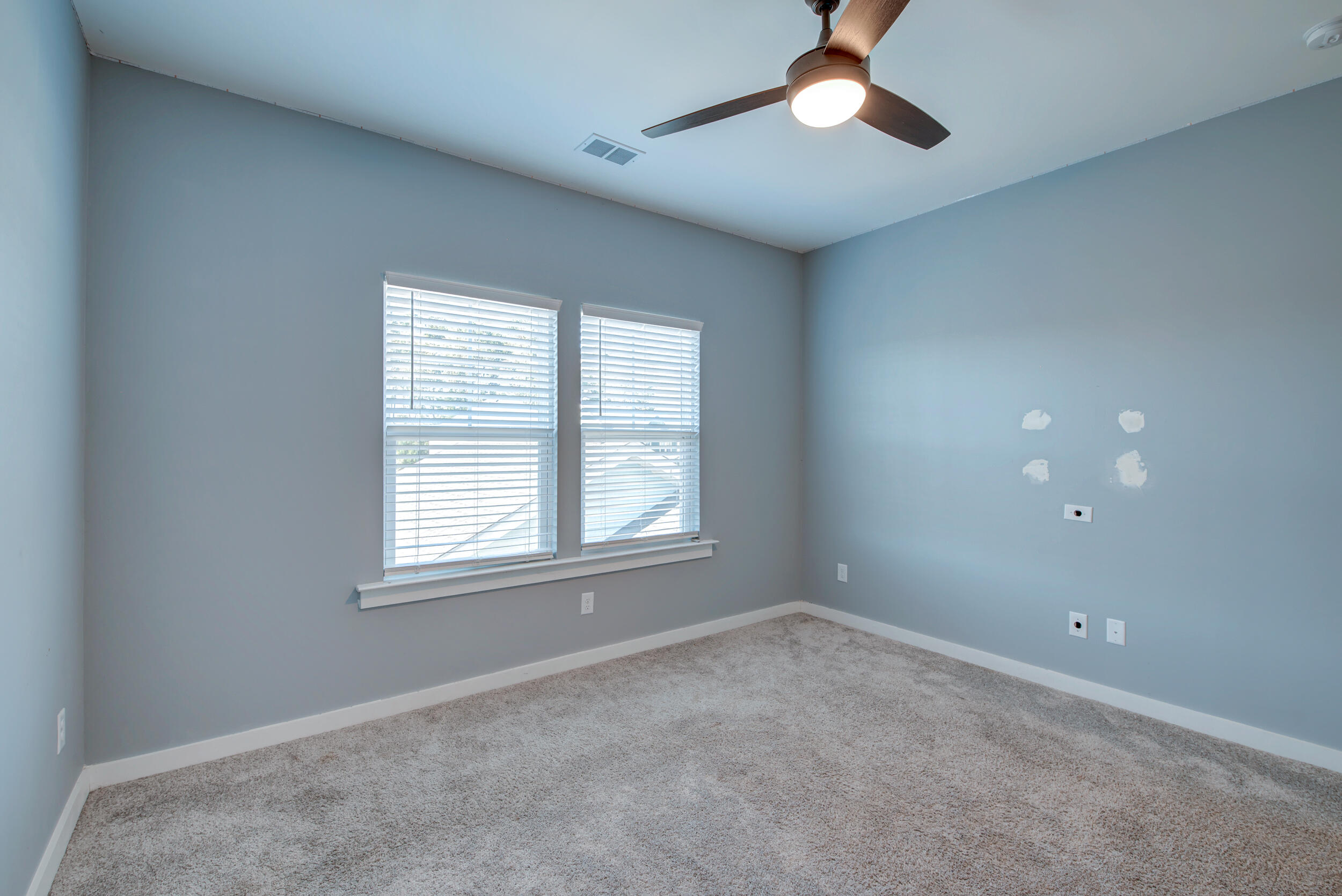 125 Trumpet Vine Drive, Summerville