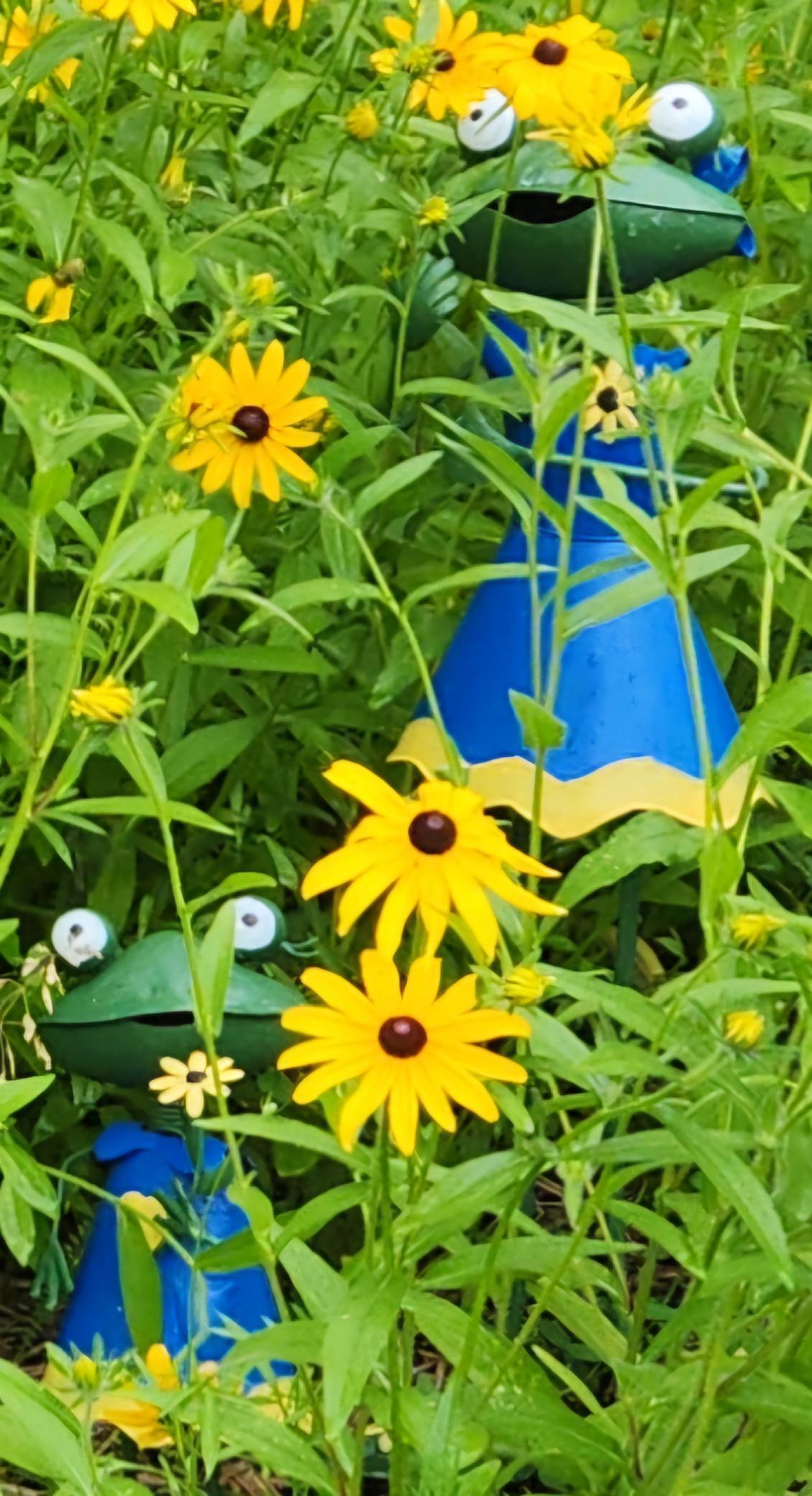 9185 Eagle Ridge Road