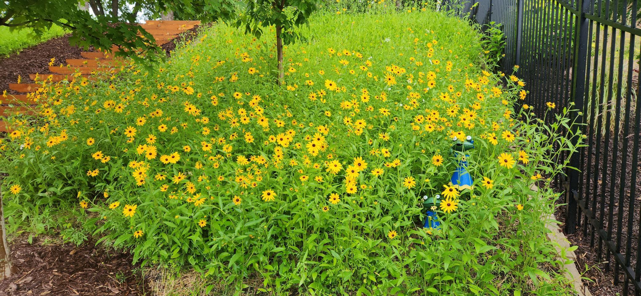 9185 Eagle Ridge Road