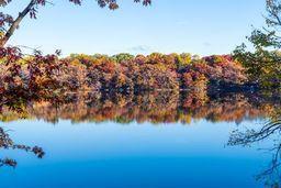 318 Mccarrons Boulevard S