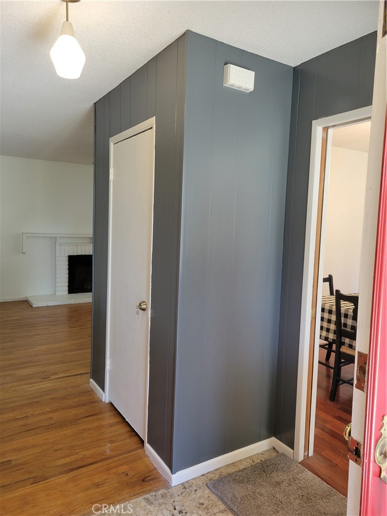 3389 Celeste Drive