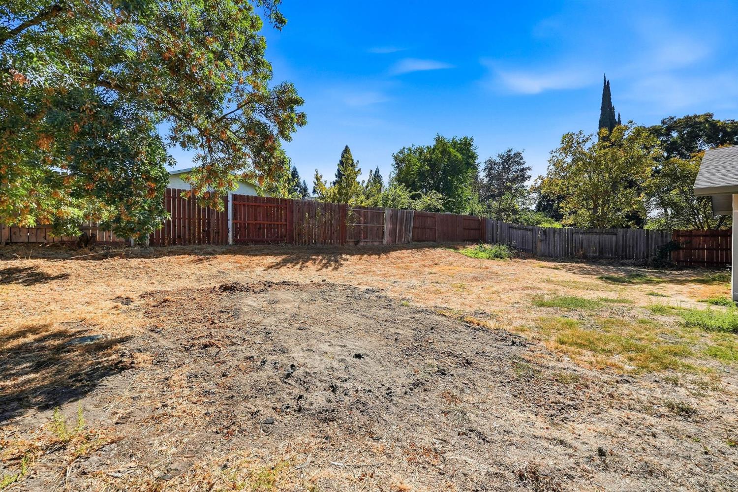 Fenced backyard with mature trees and a broad, dry, open lawn.