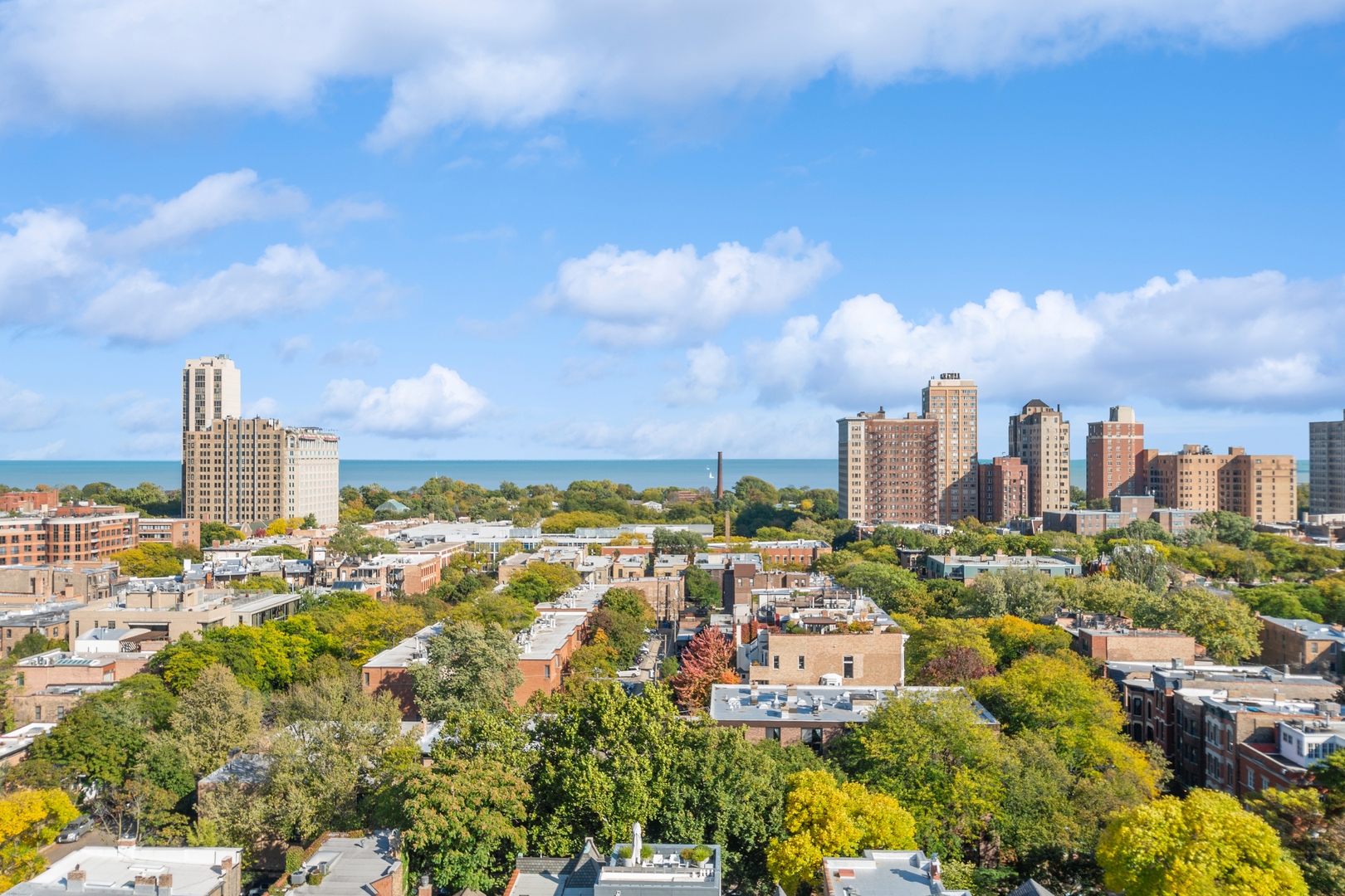 540 W Webster Unit: 1104