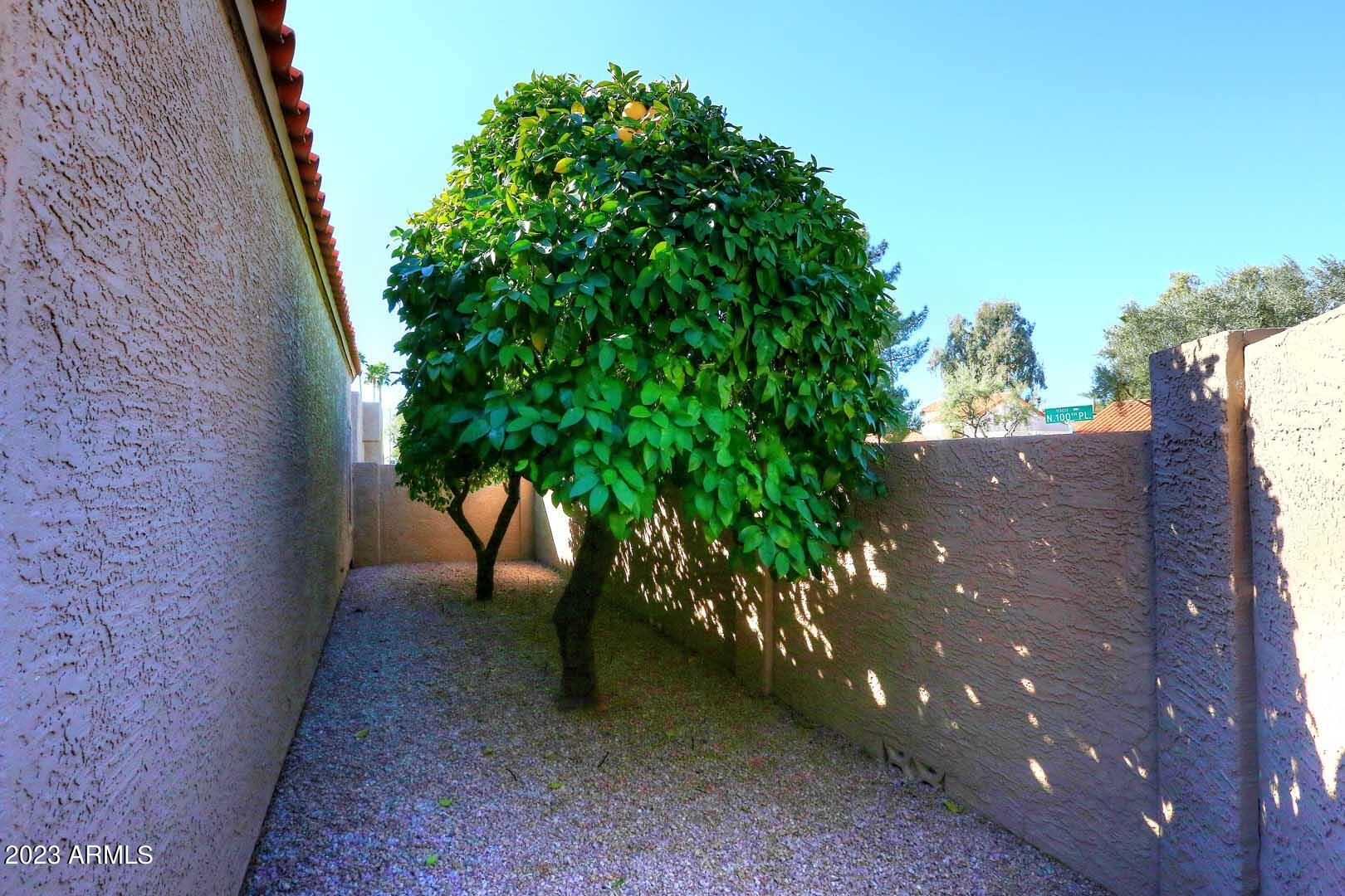 10051 E San Bernardo Drive