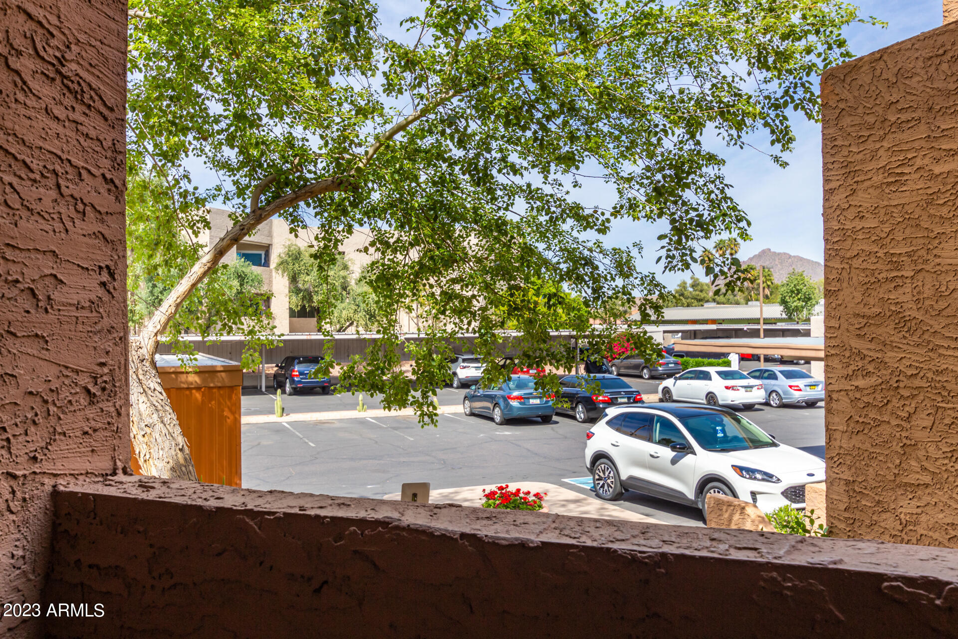 7494 E EARLL Drive # 218