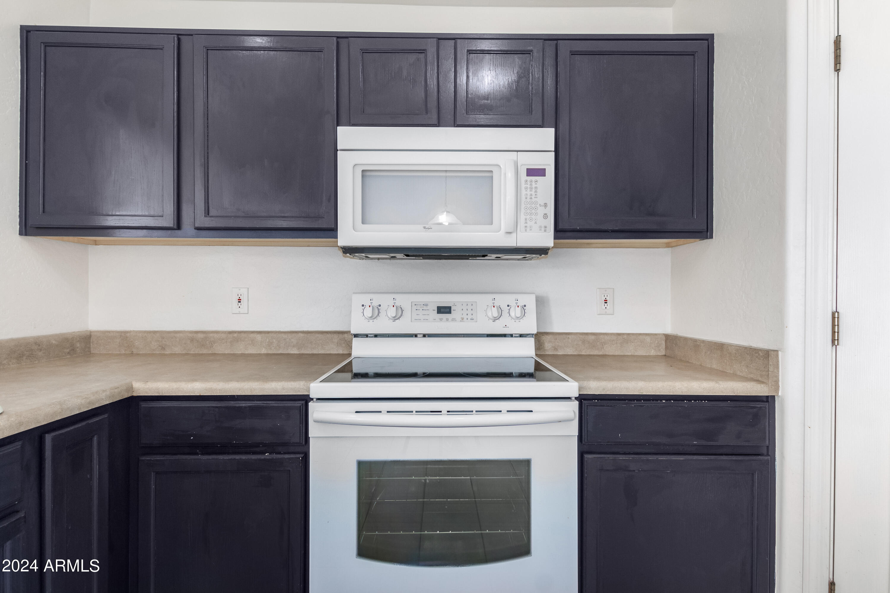 1079 E DESERT HOLLY Drive