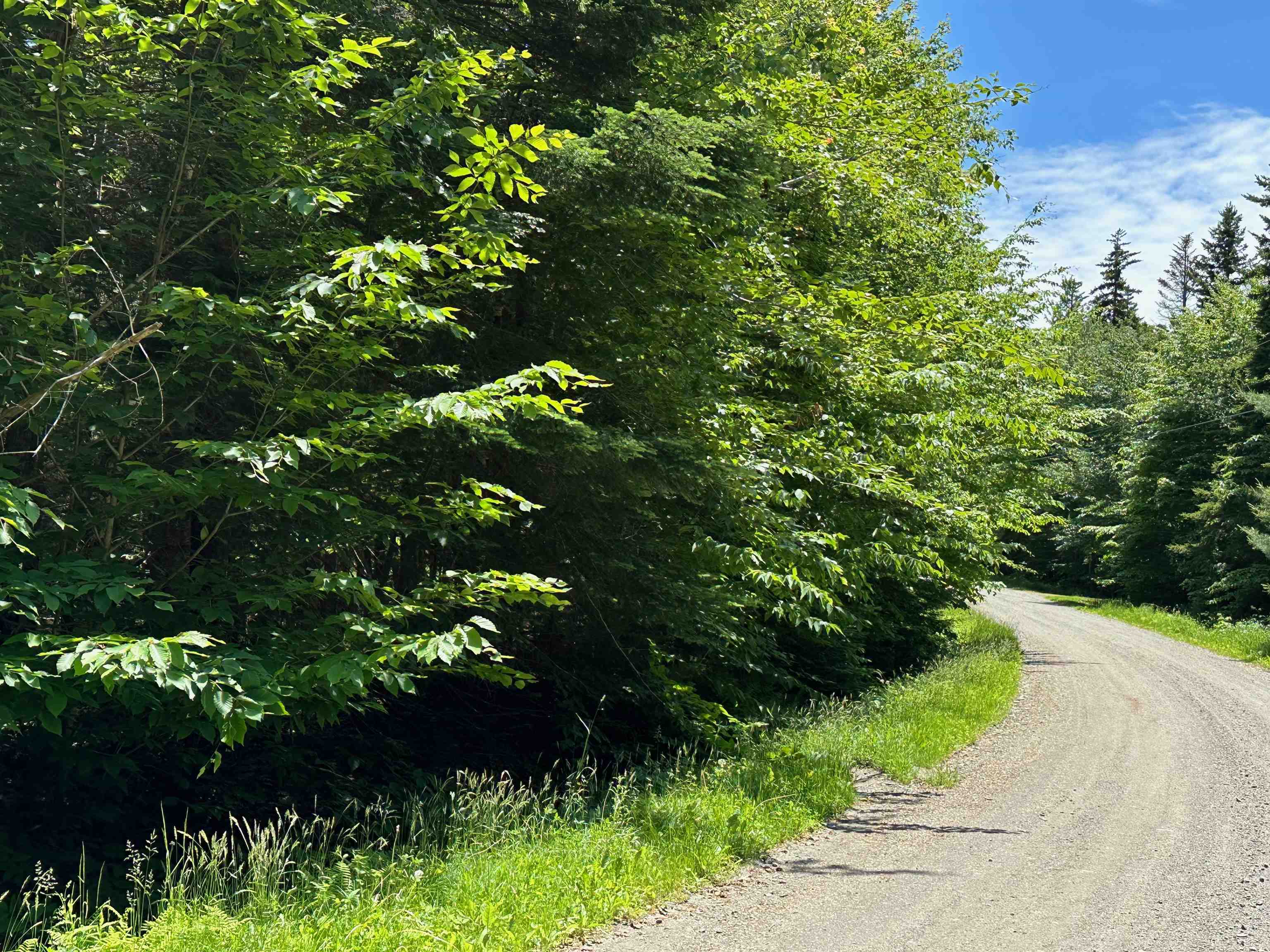 57 Antler Loop