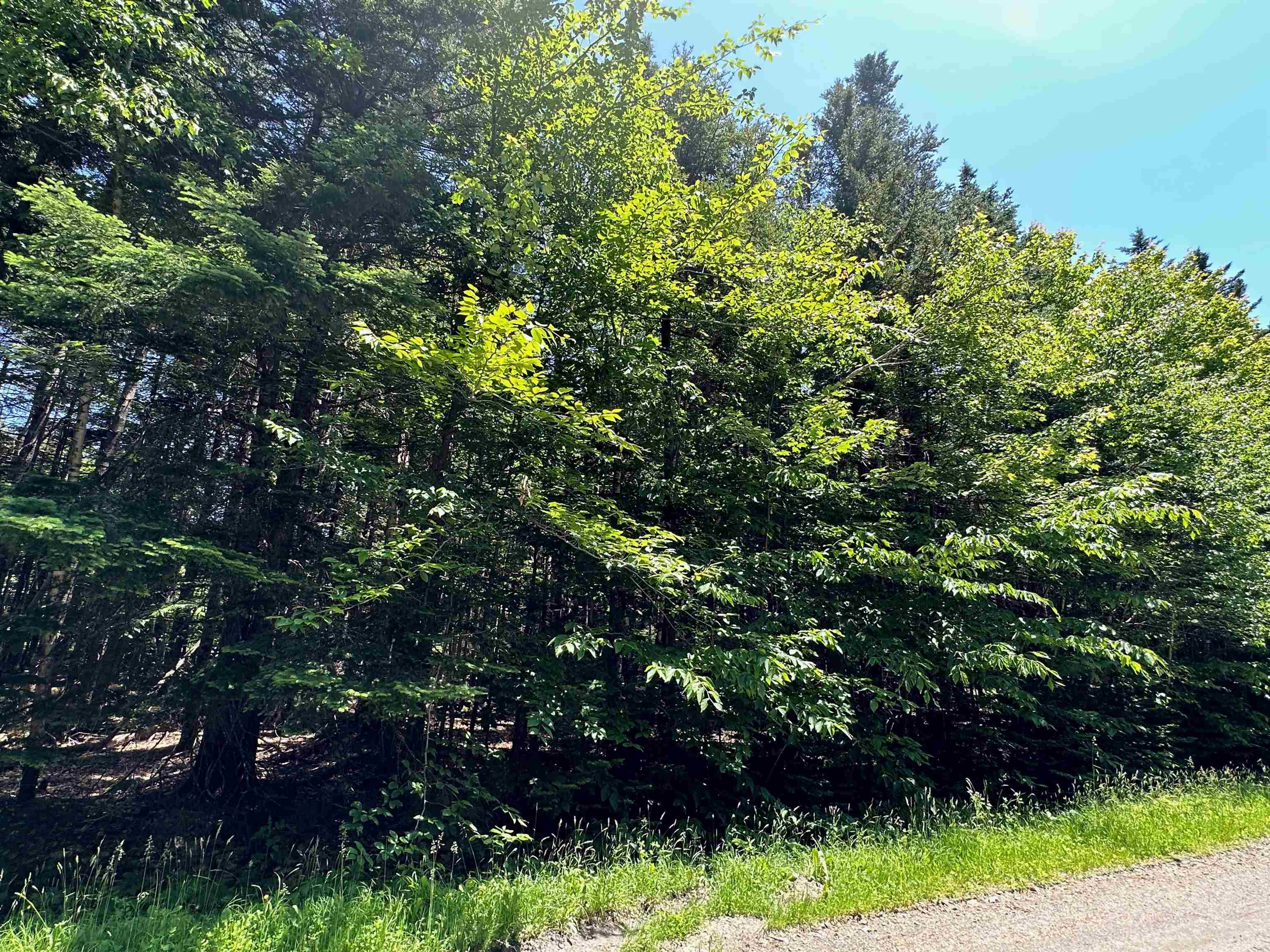 57 Antler Loop