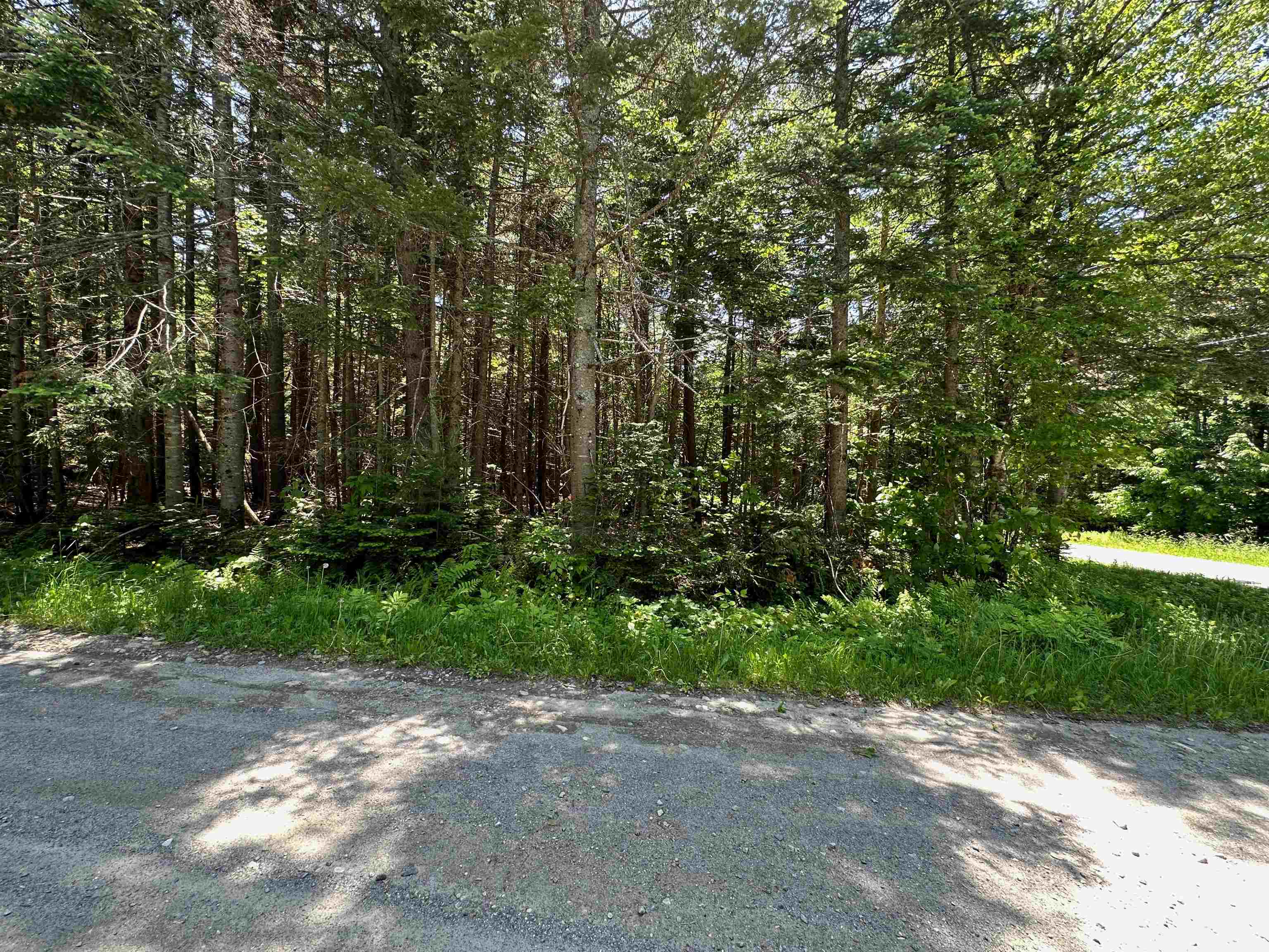 57 Antler Loop