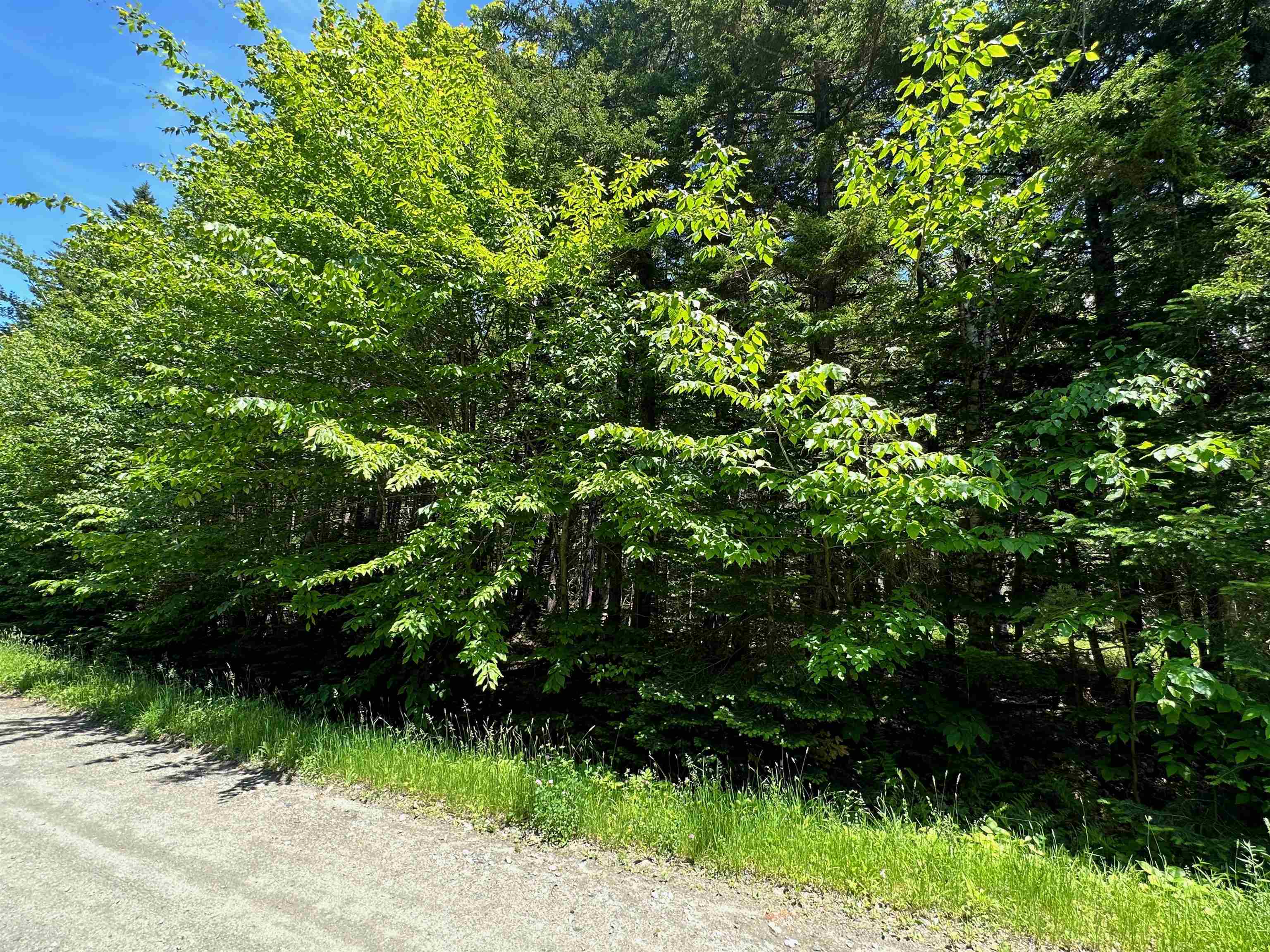 57 Antler Loop