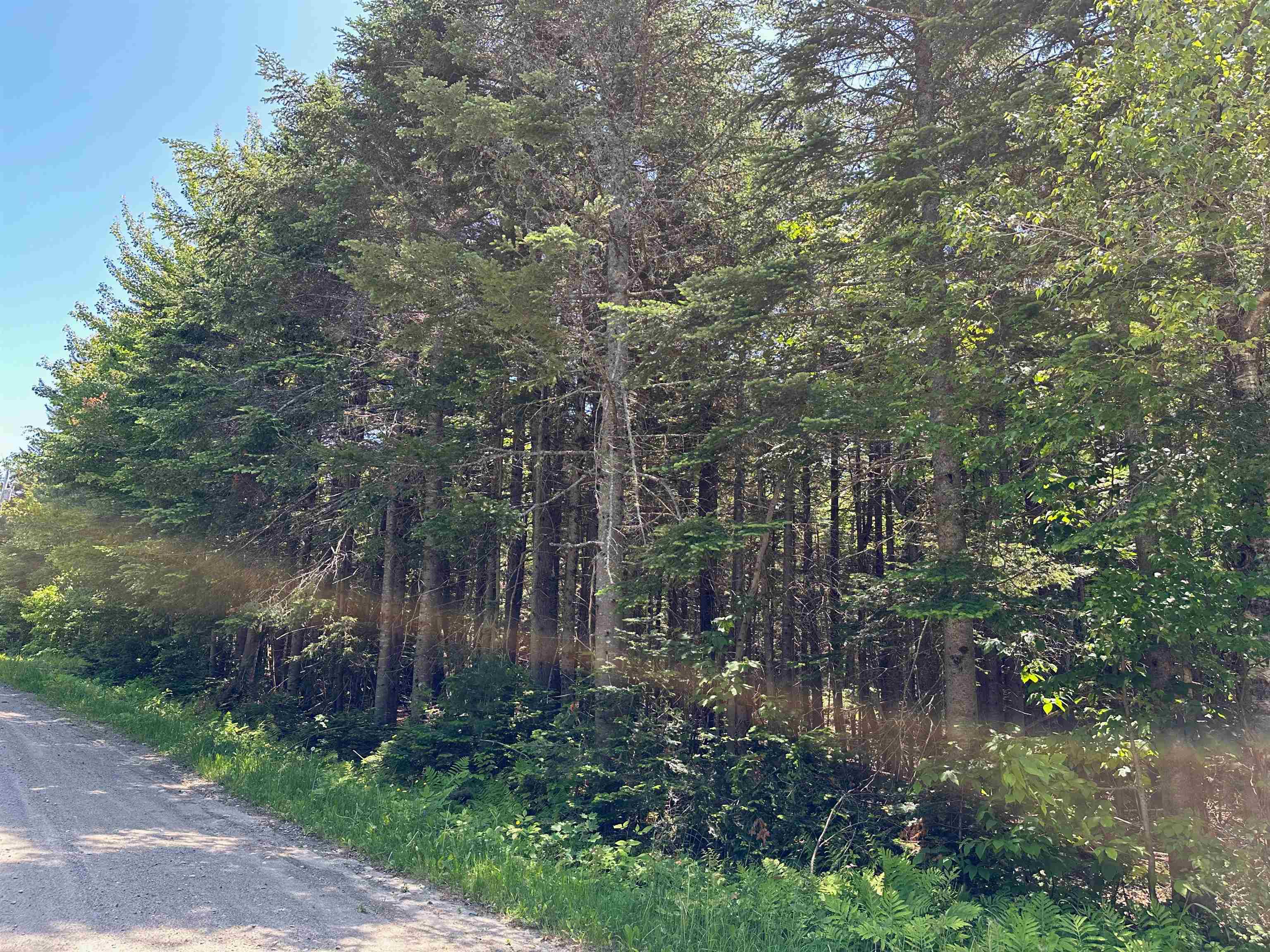 57 Antler Loop