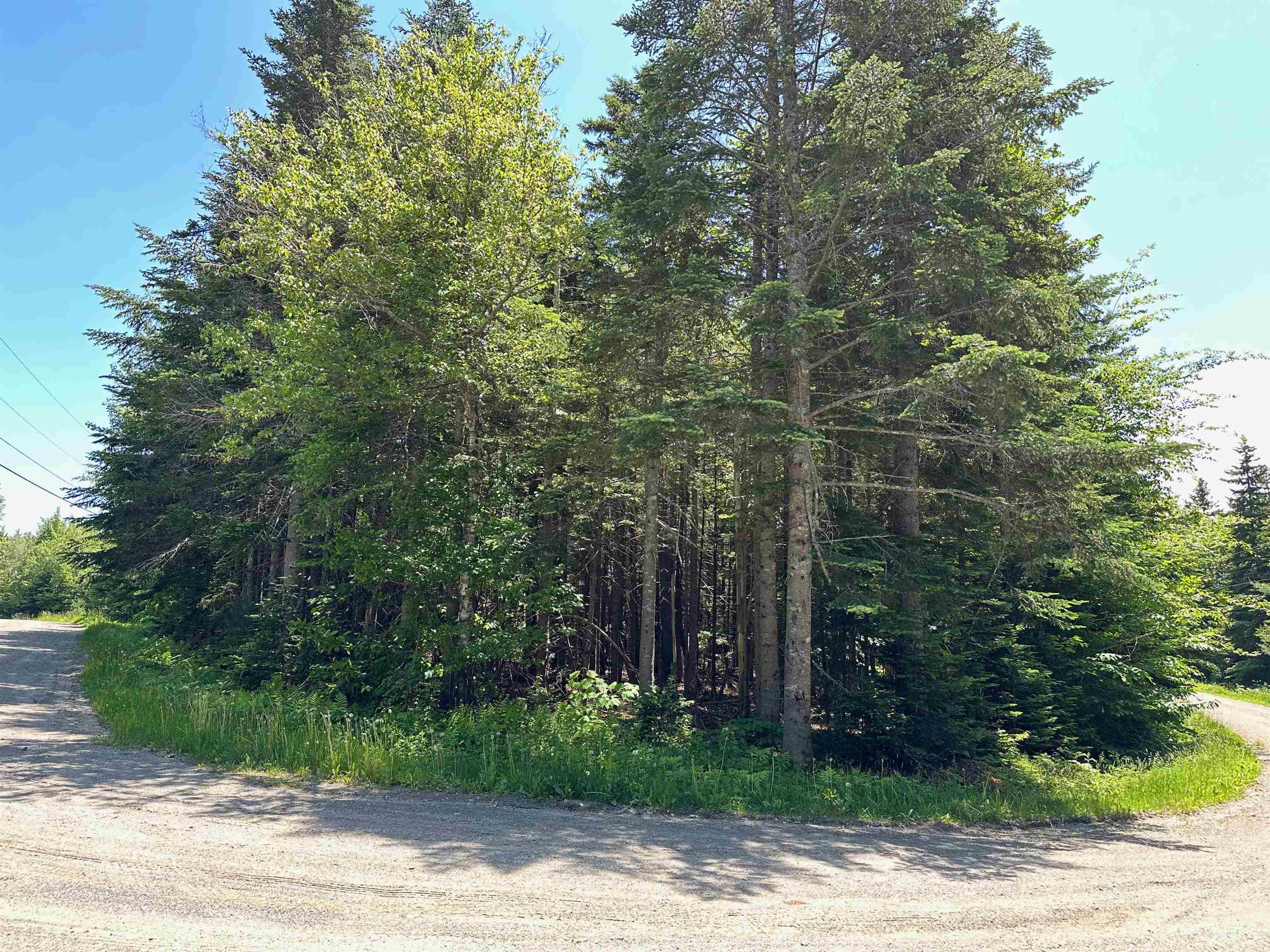 57 Antler Loop