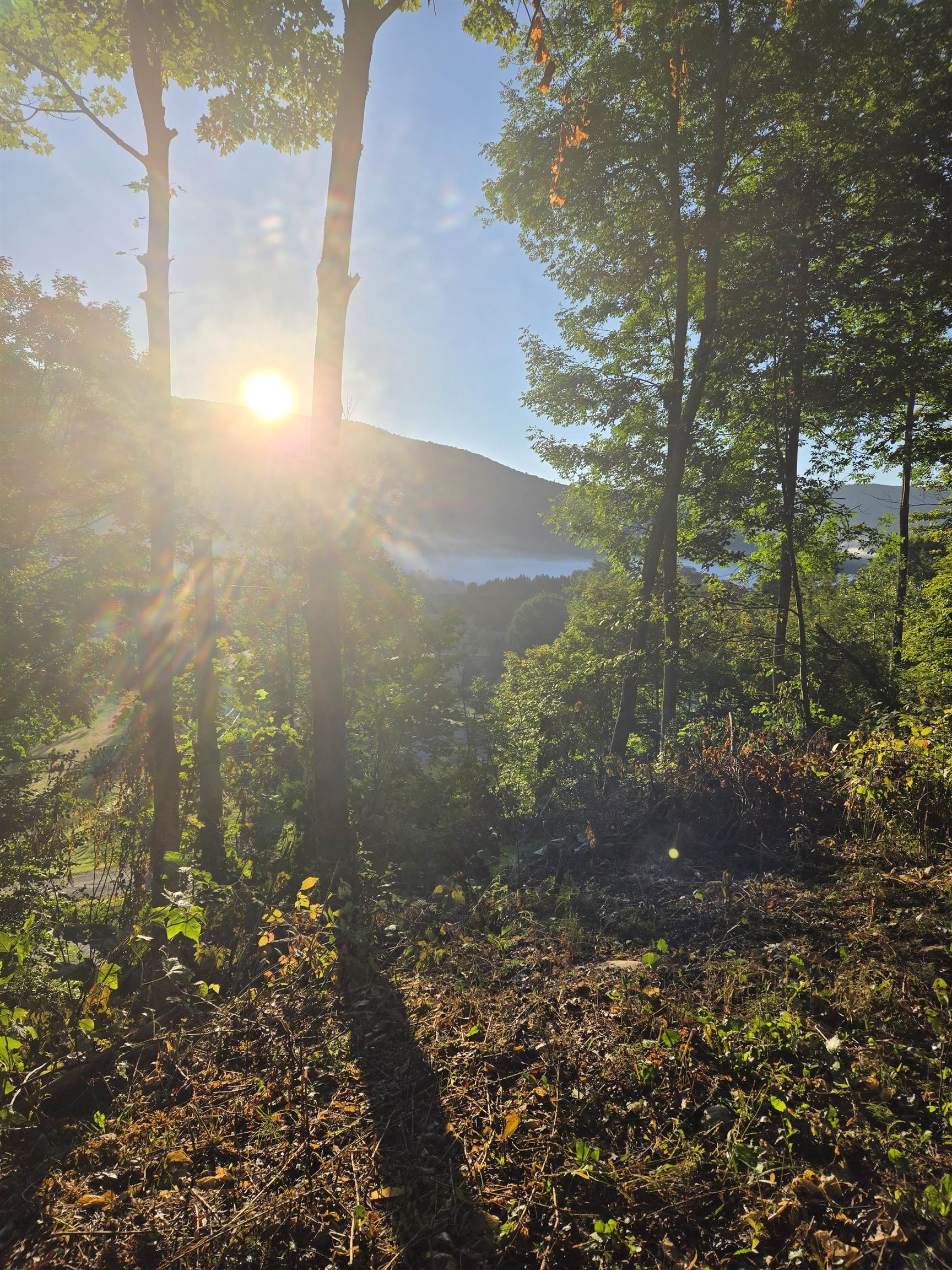 305 Cascade Road