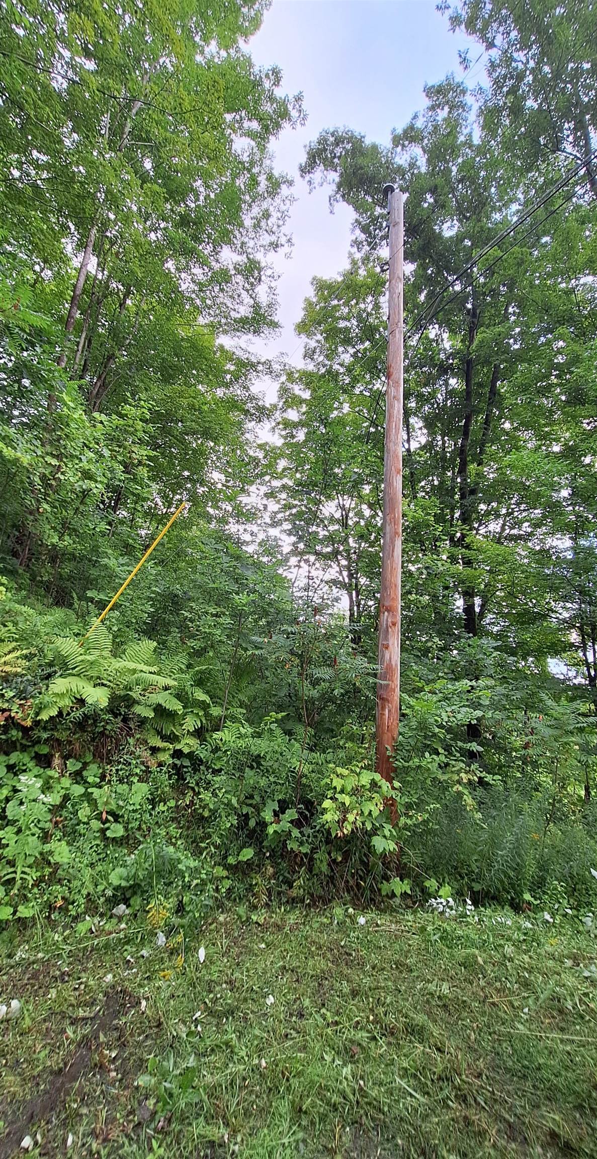 305 Cascade Road