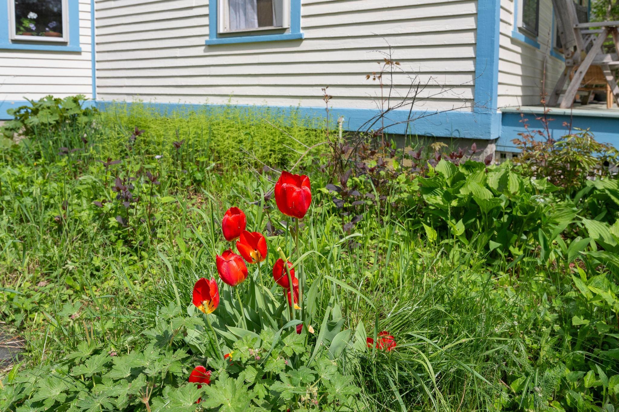 64 Meadowbrook Road