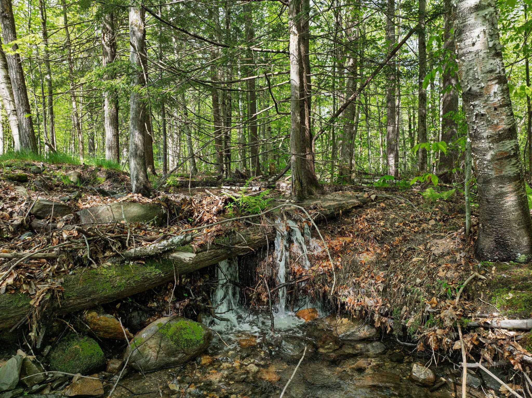 829 Pennel Hill Road