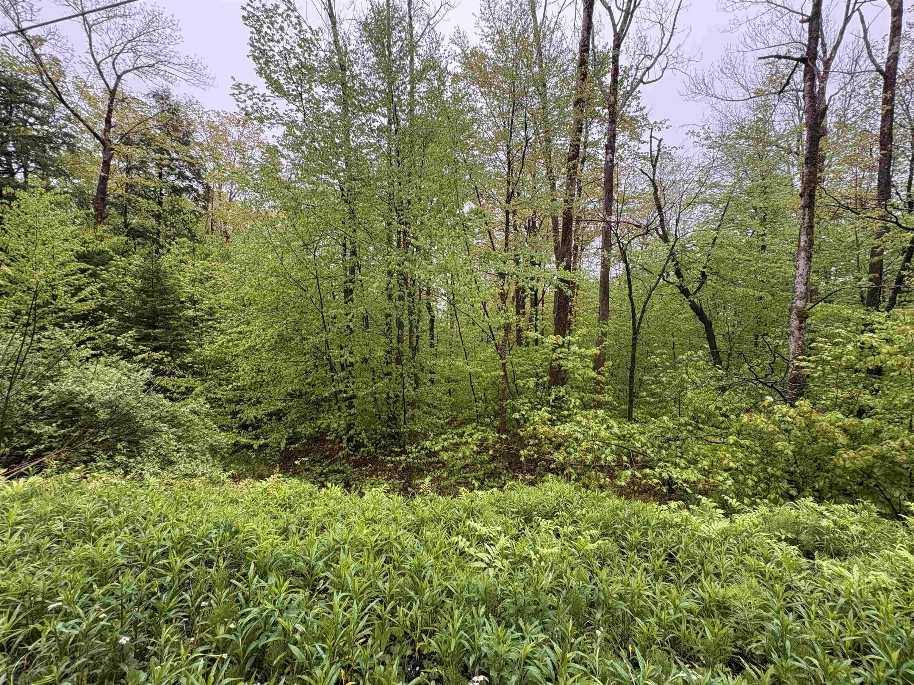 0 Bergrucken Lane Unit: 6-377