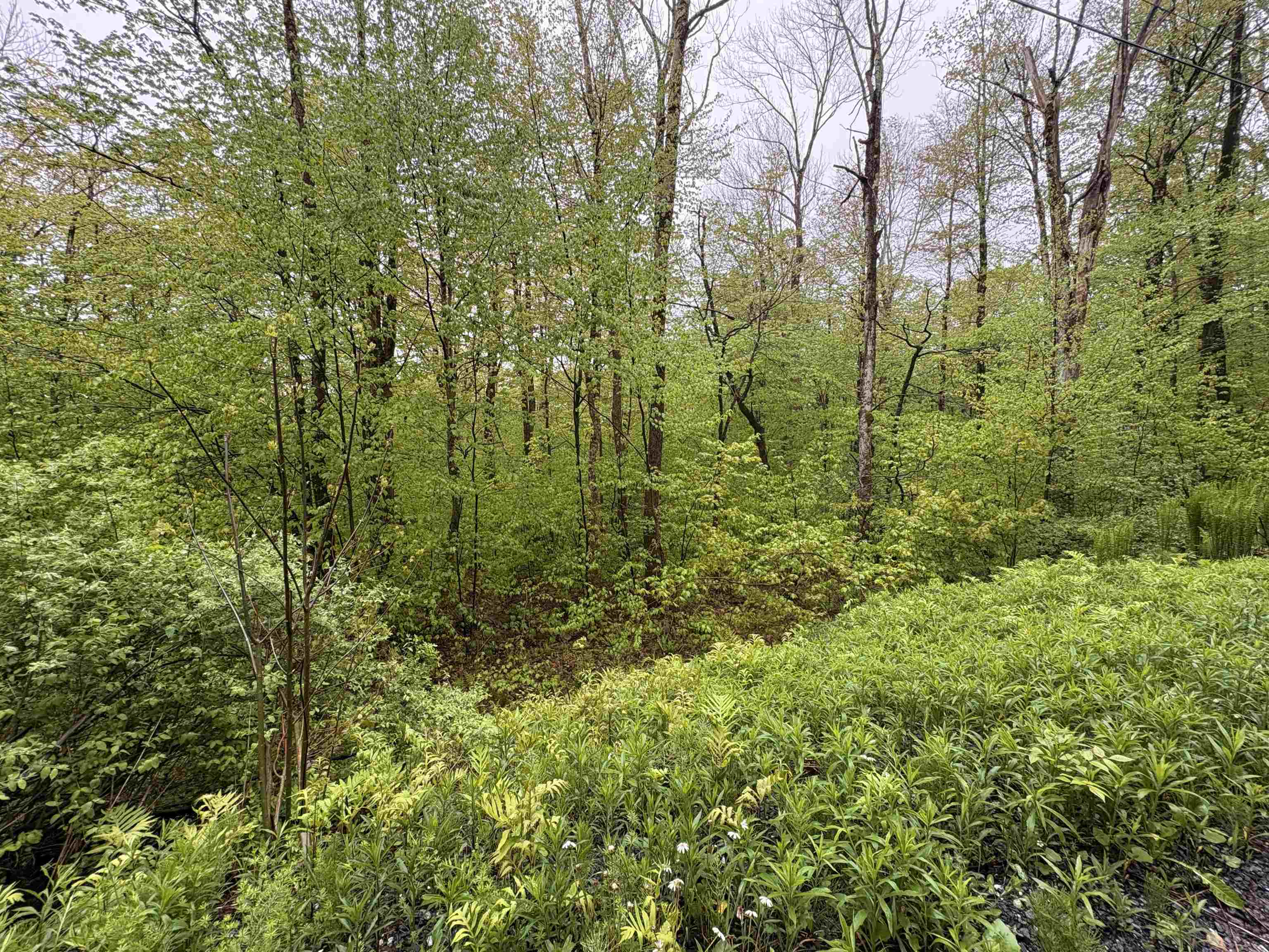 0 Bergrucken Lane Unit: 6-377