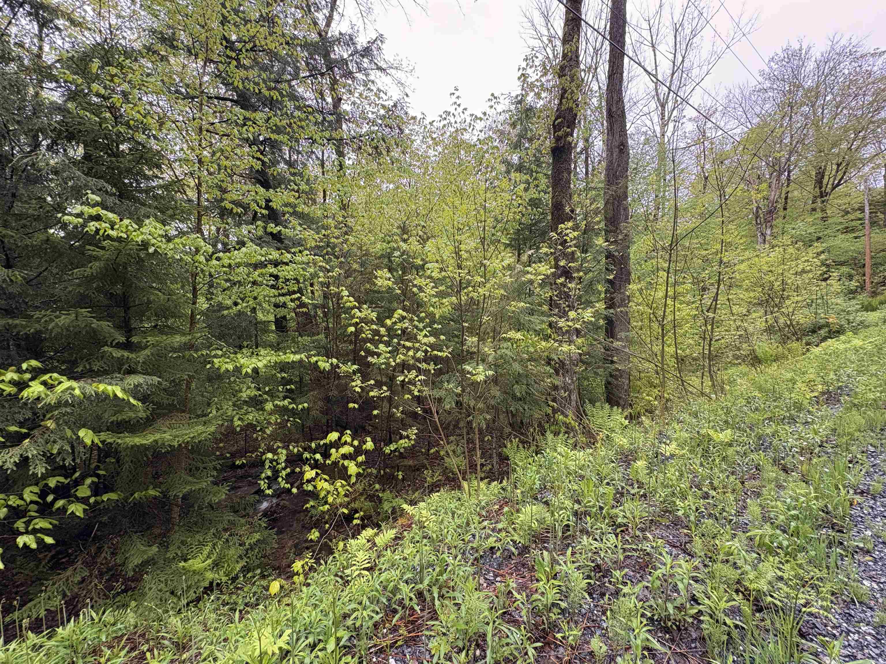 0 Bergrucken Lane Unit: 6-377