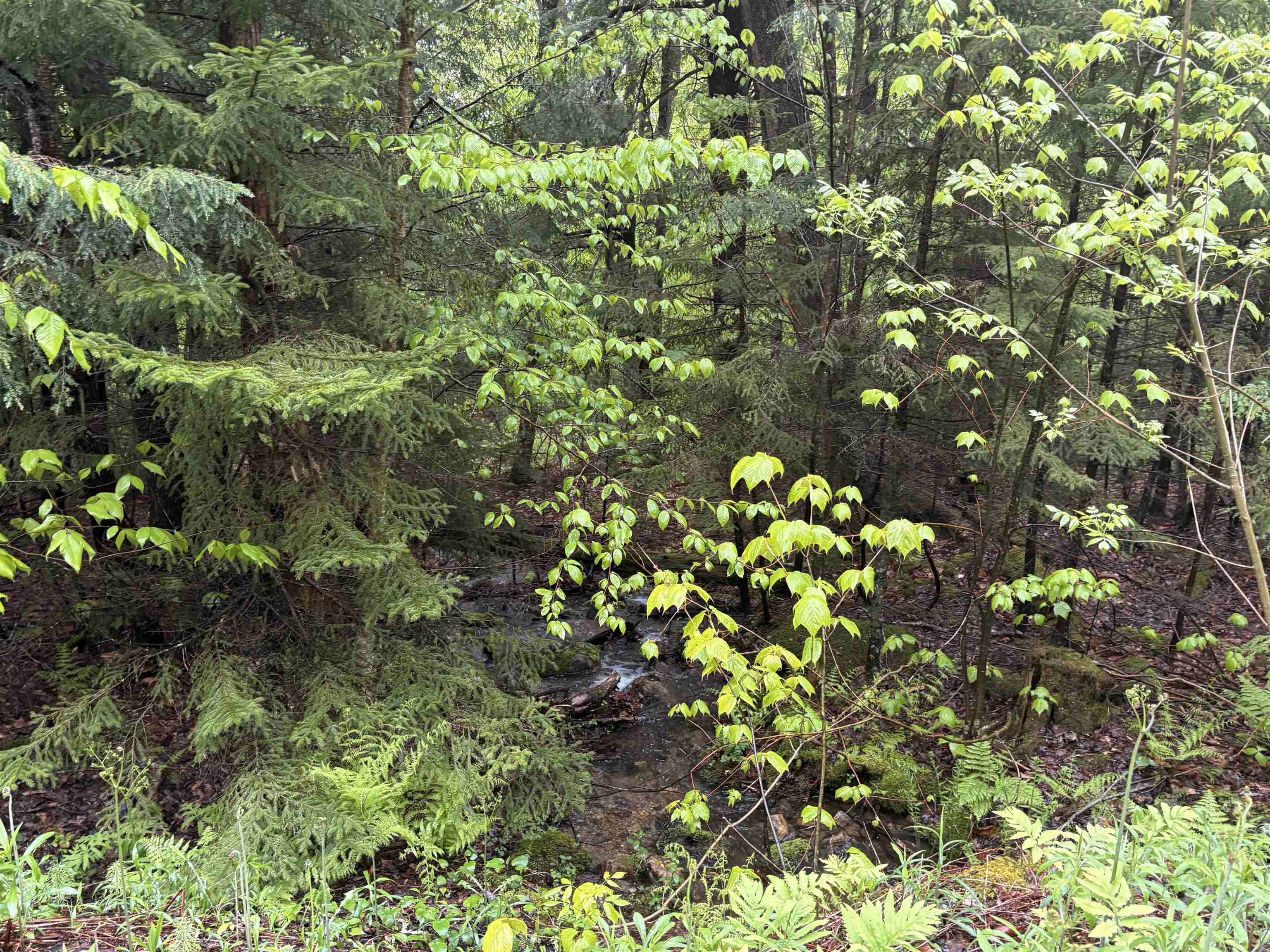 0 Bergrucken Lane Unit: 6-377