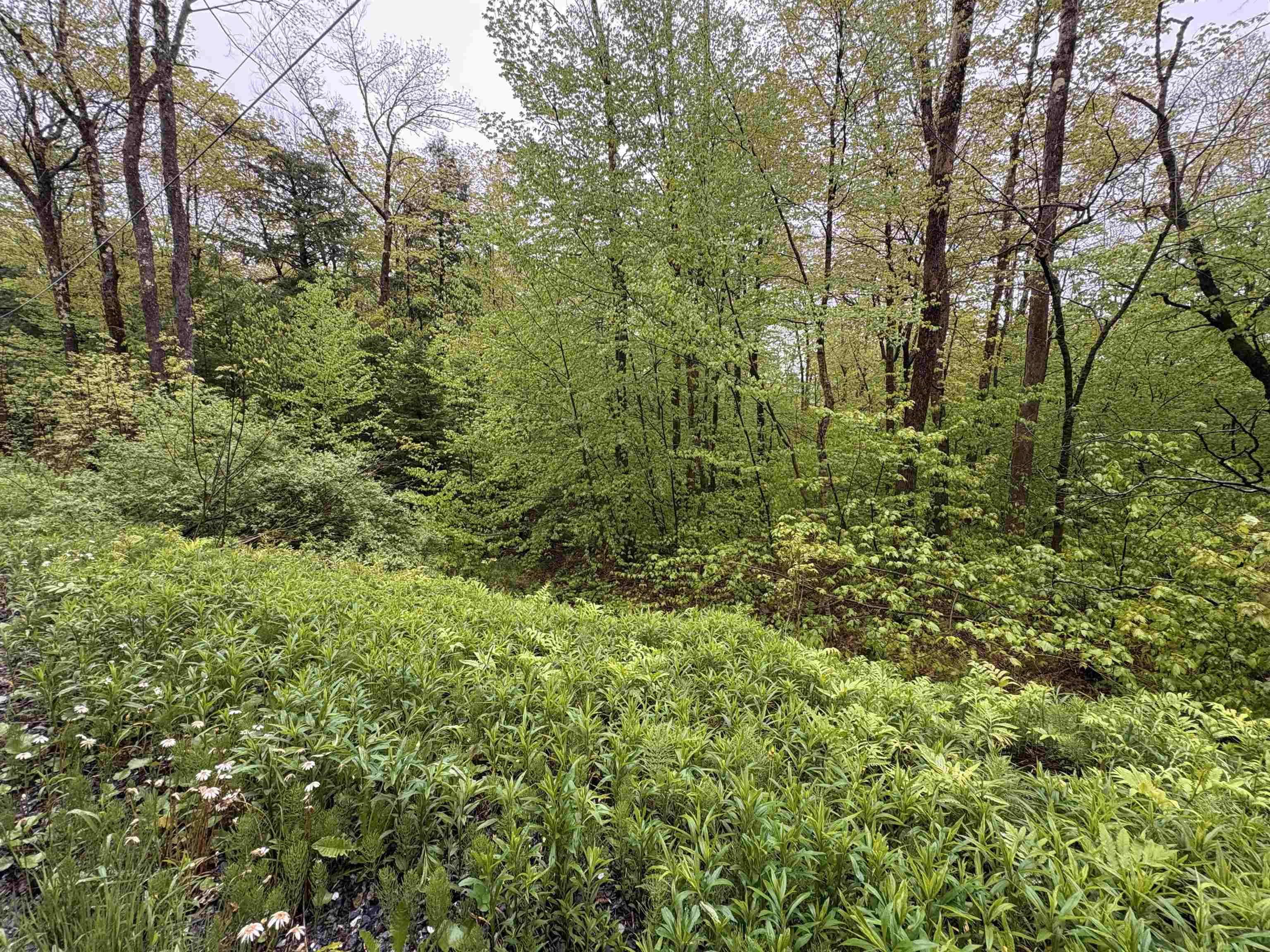 0 Bergrucken Lane Unit: 6-377