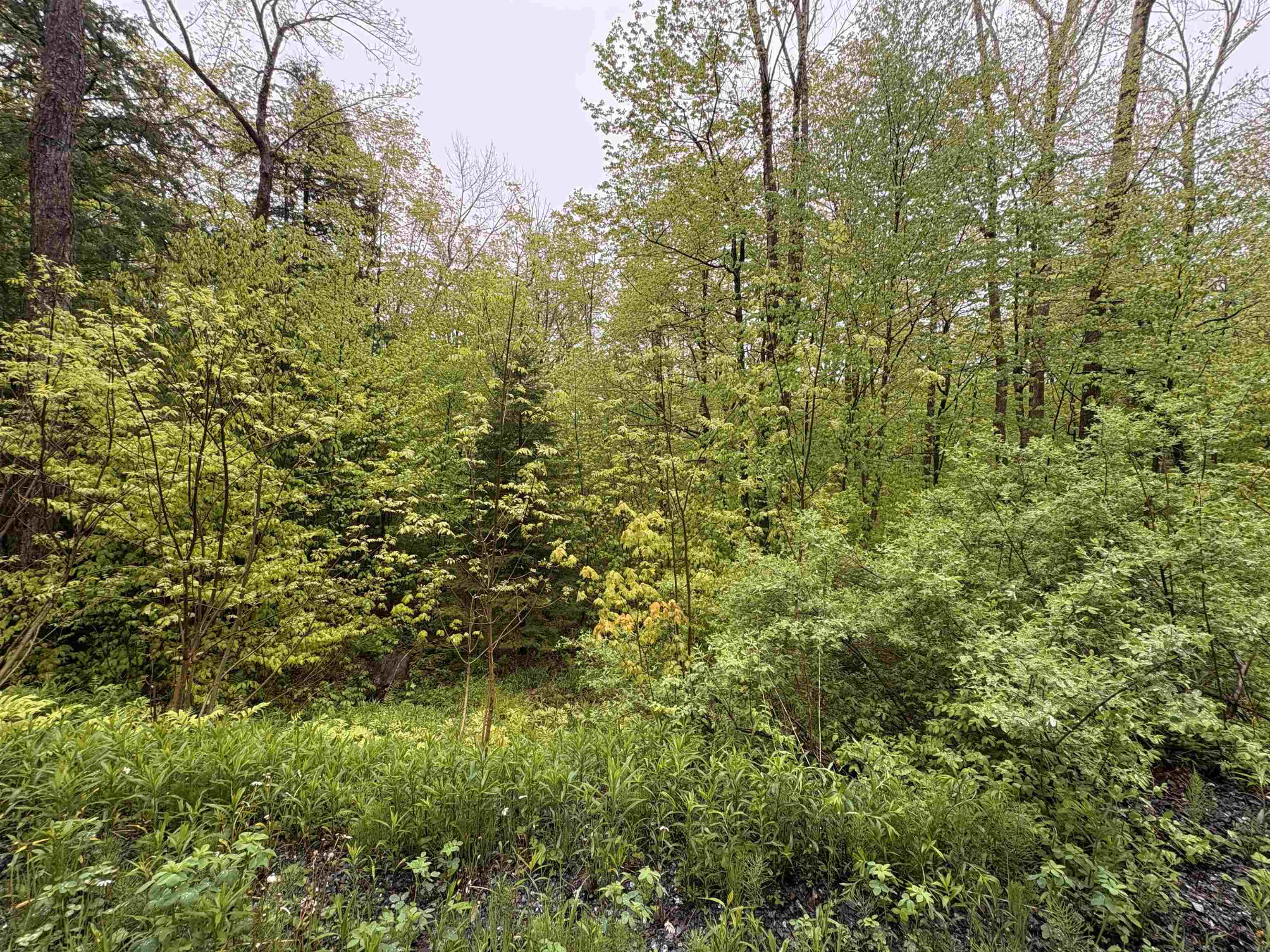 0 Bergrucken Lane Unit: 6-377