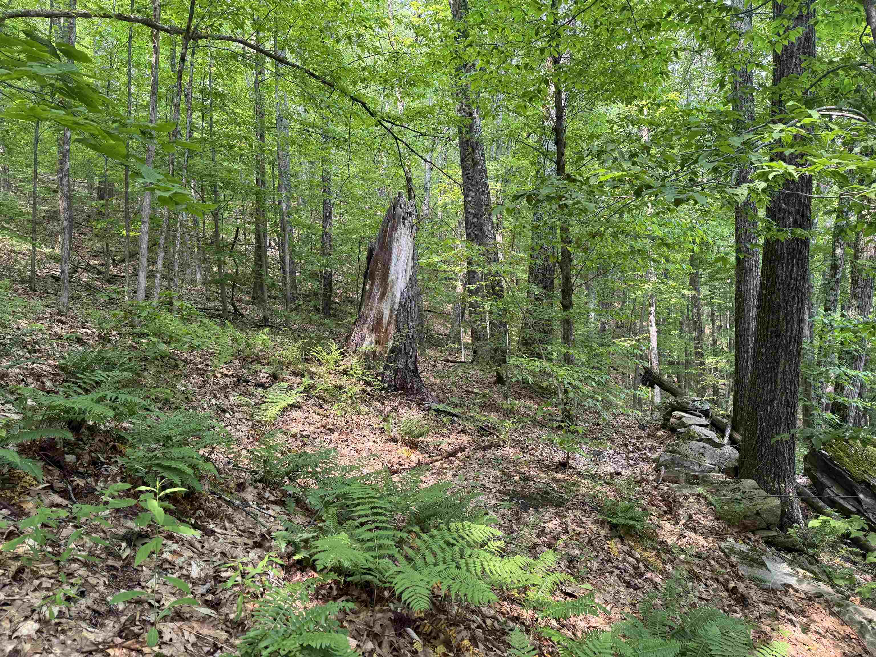 0 Ober Hill Road