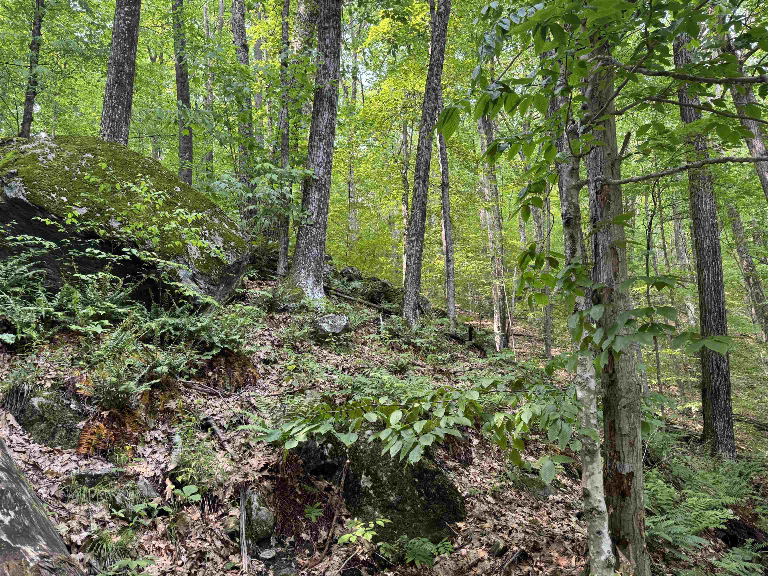 0 Ober Hill Road