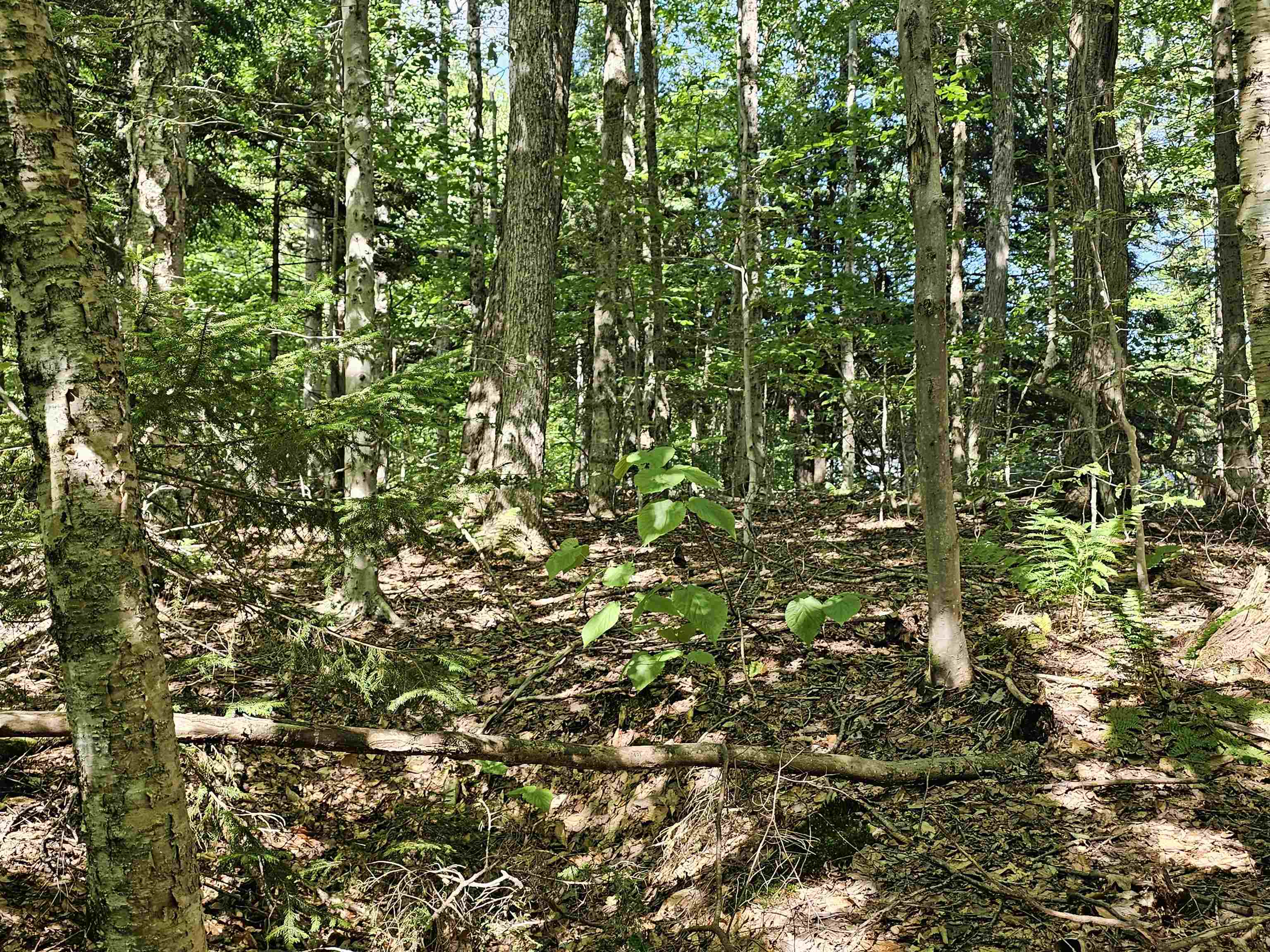 00 Two Brook Drive Unit: 38 & 39