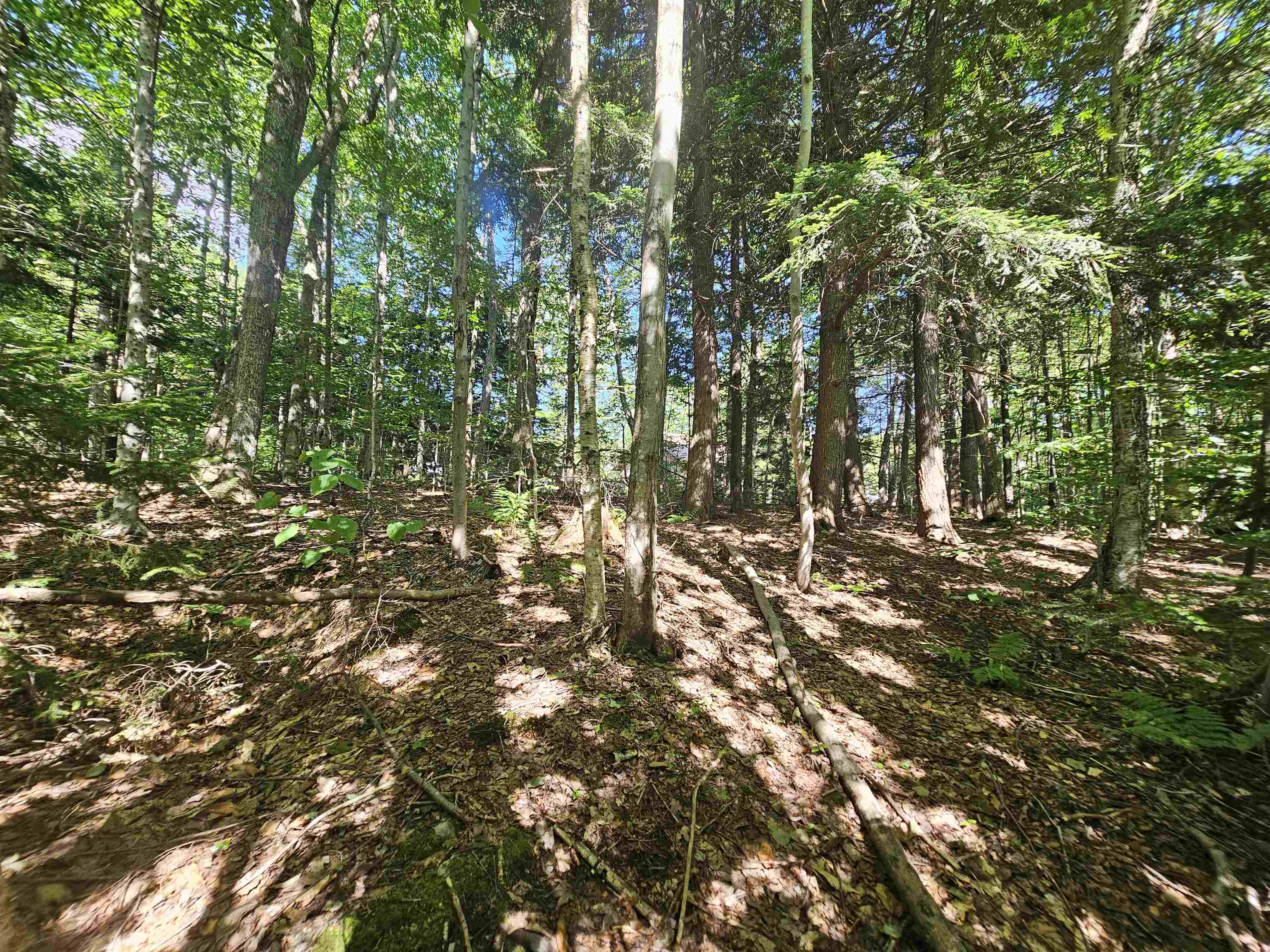 00 Two Brook Drive Unit: 38 & 39