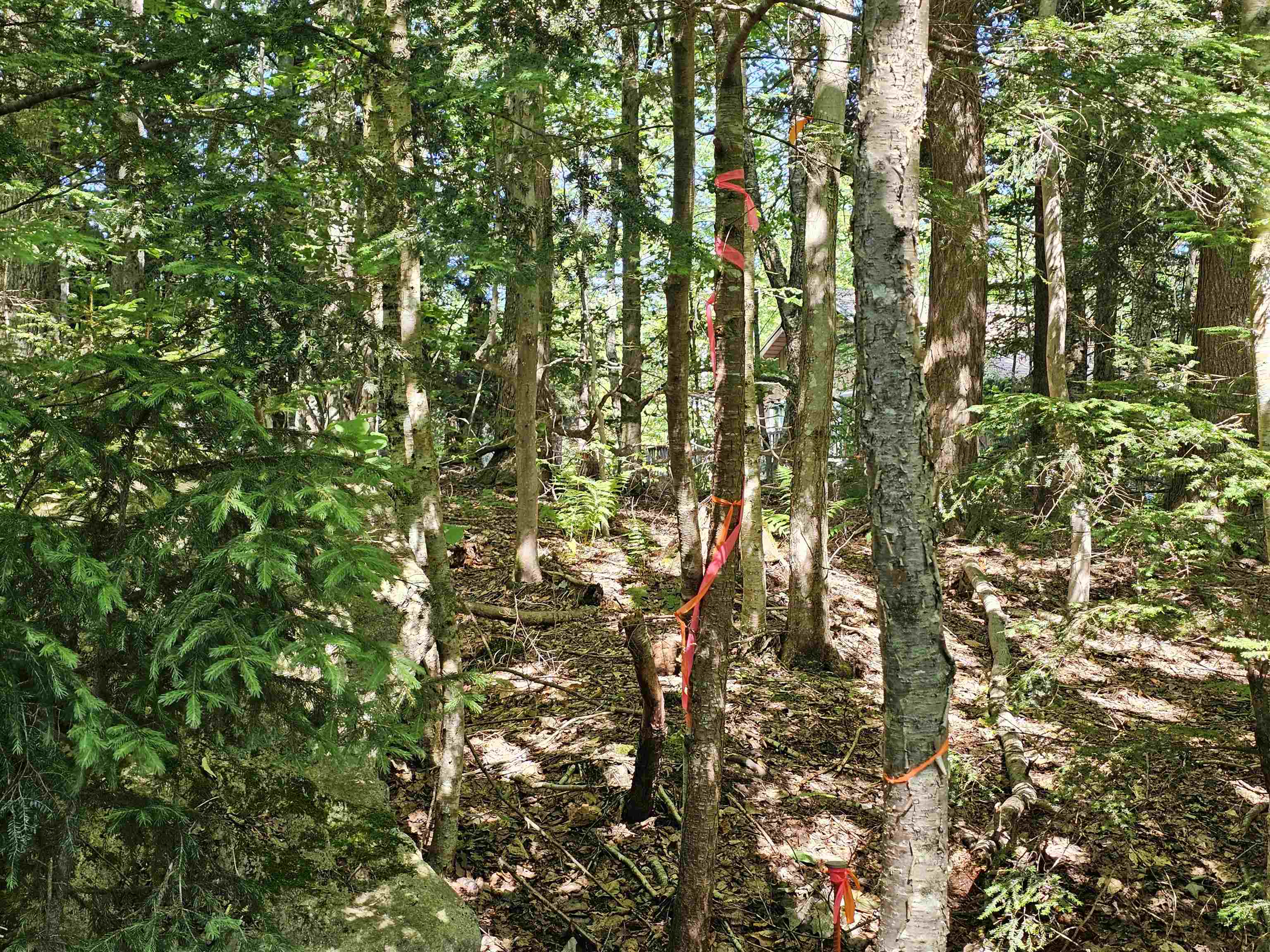 00 Two Brook Drive Unit: 38 & 39