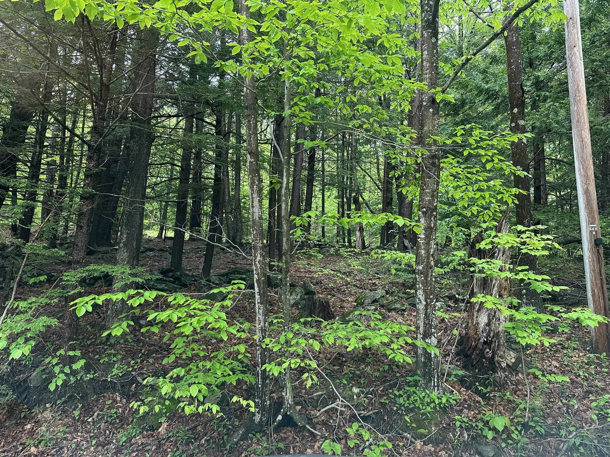 Lot 2 Wellington Hill Road