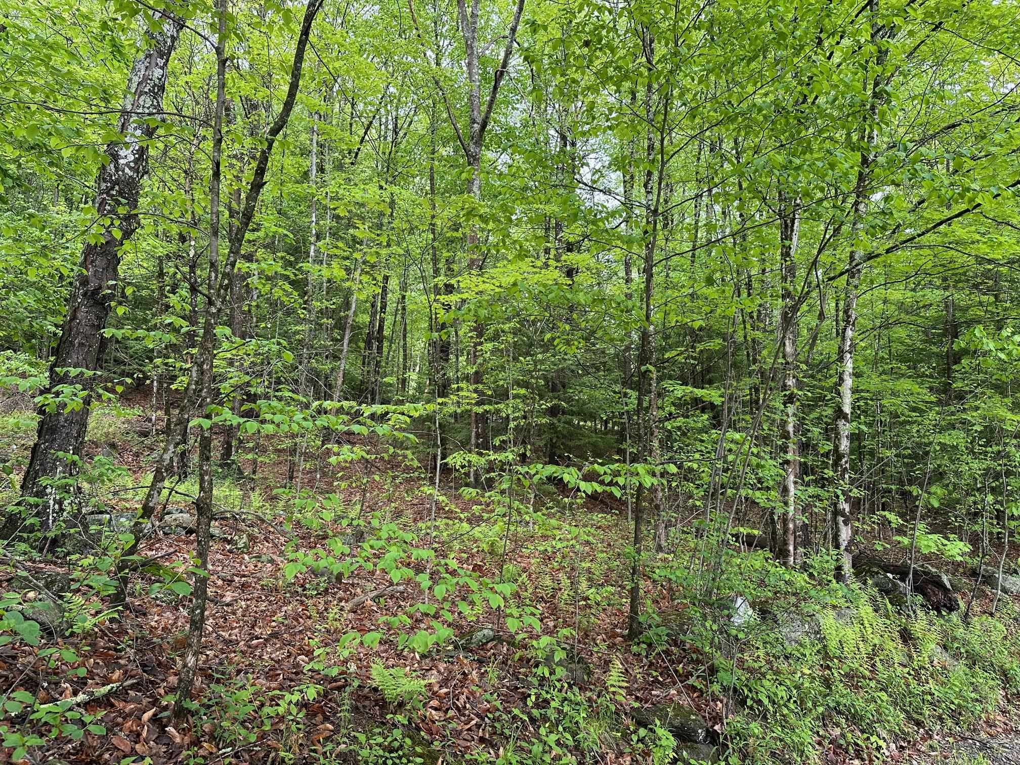 Lot 2 Wellington Hill Road